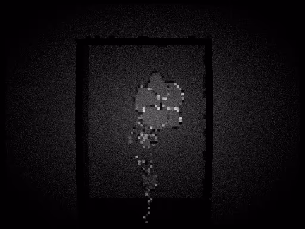 testing-premint #6