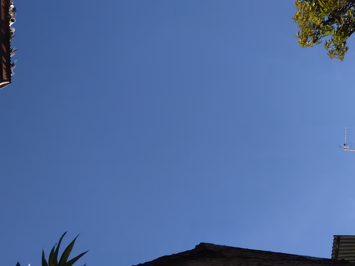 Blue Screen #22