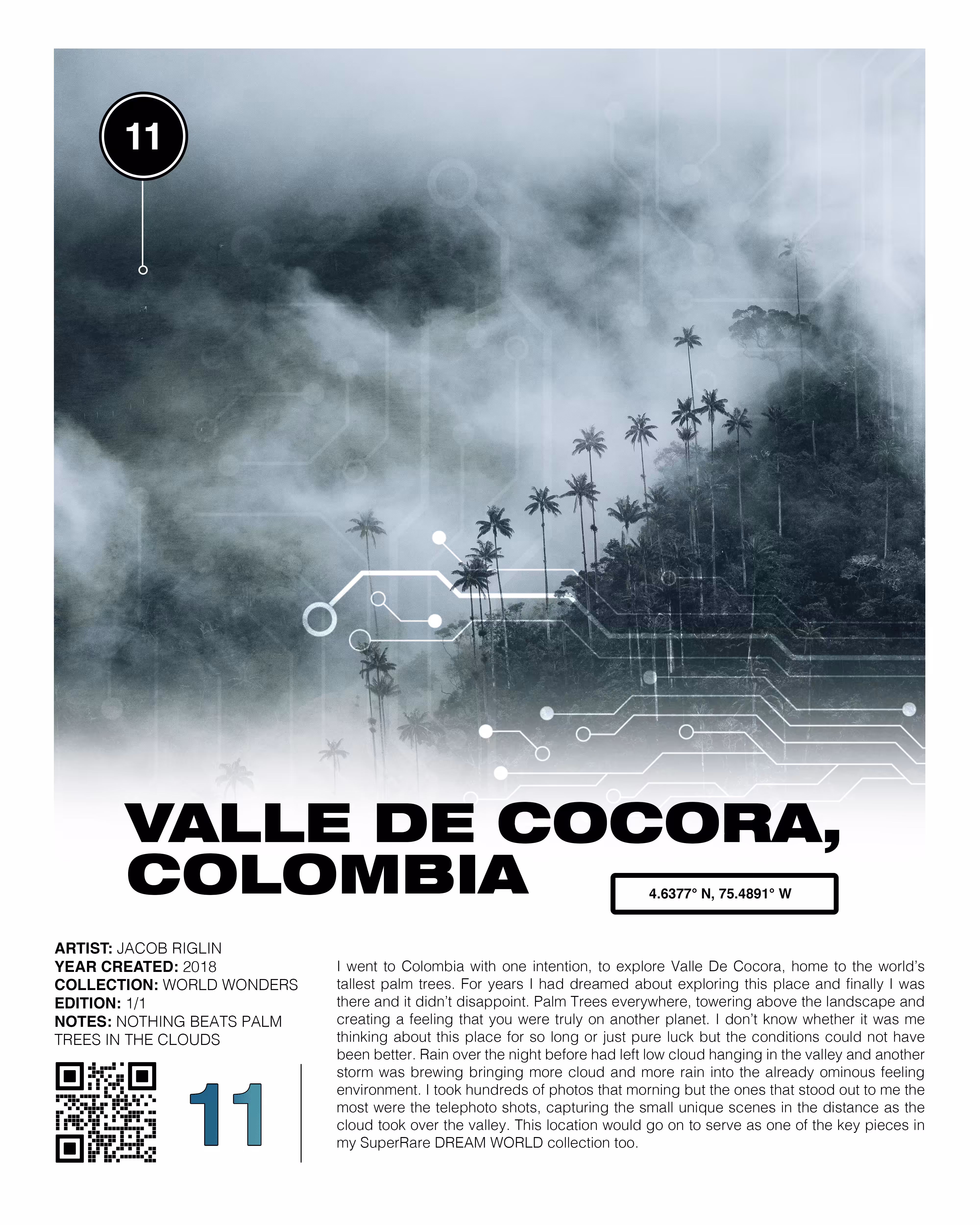 #11. The Story: Valle De Cocora, Colombia