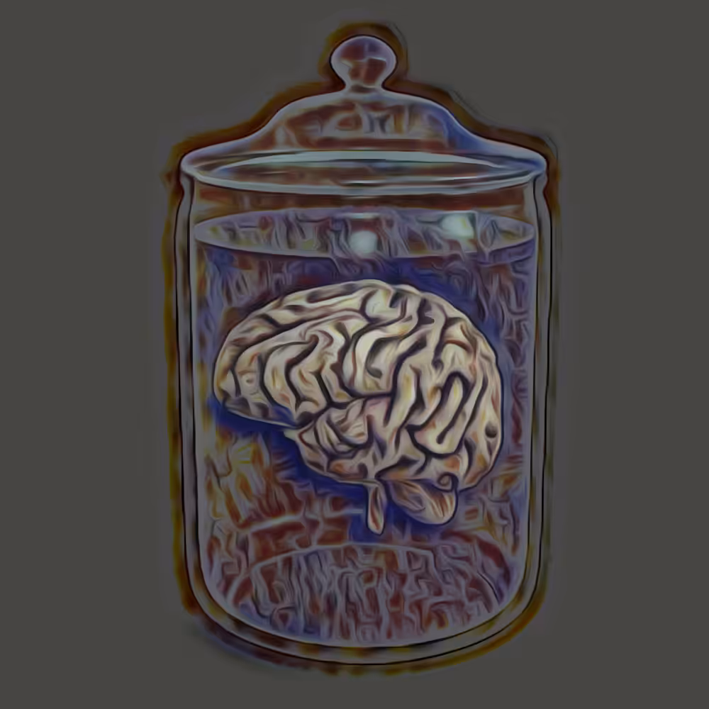 Broken Bits Brain