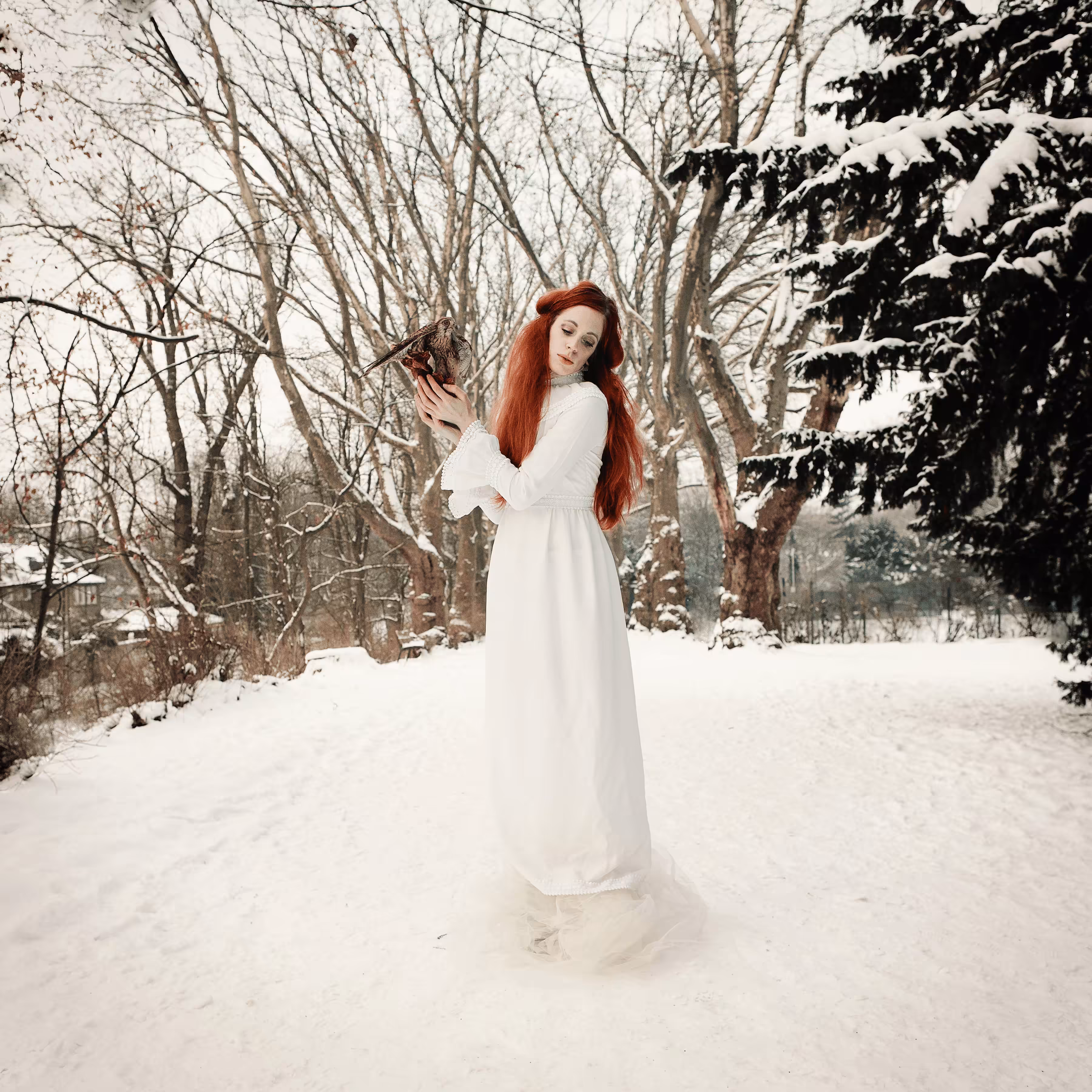 Winterland