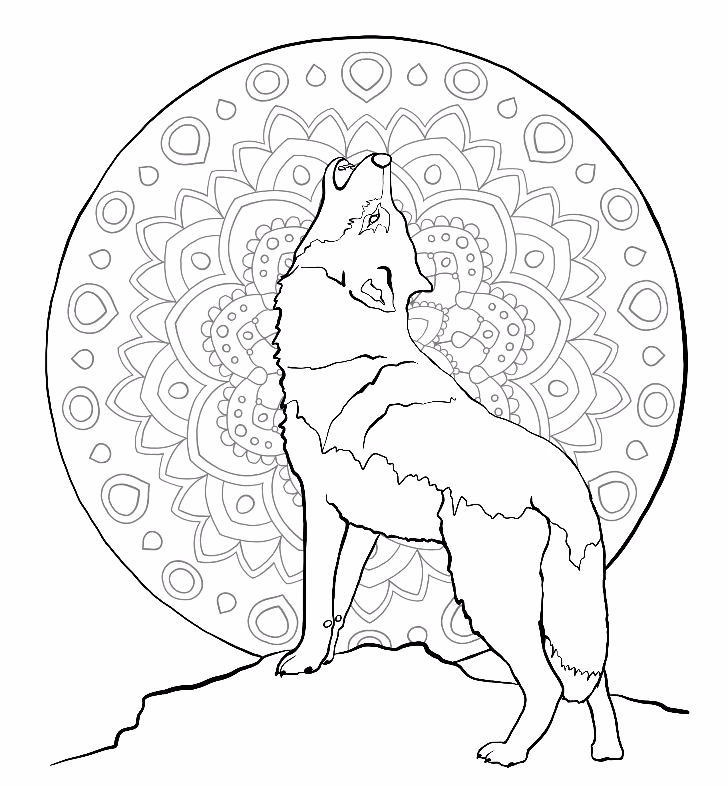 Red Wolf - Endangered Species Coloring Page