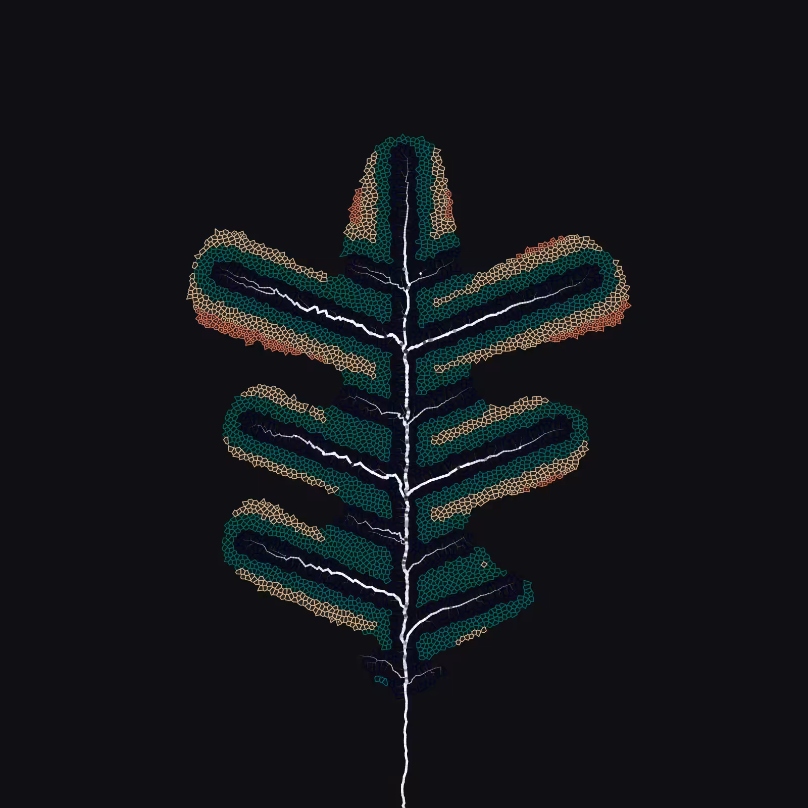 Leaf study #47
