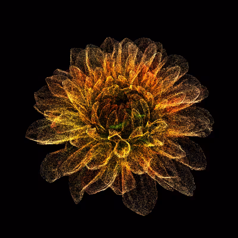 Dahlia Pinnata 30 #133