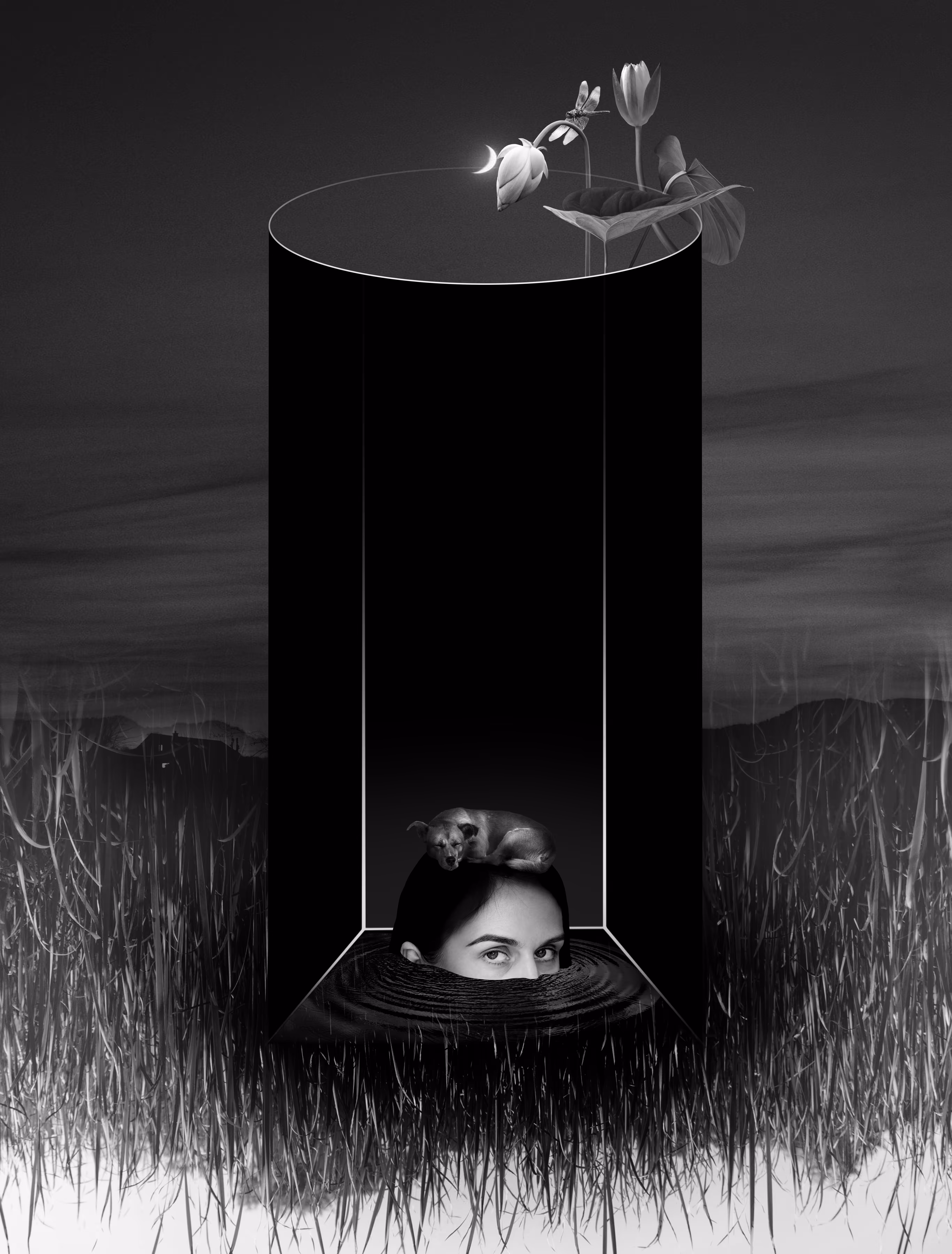 Dog In The Well