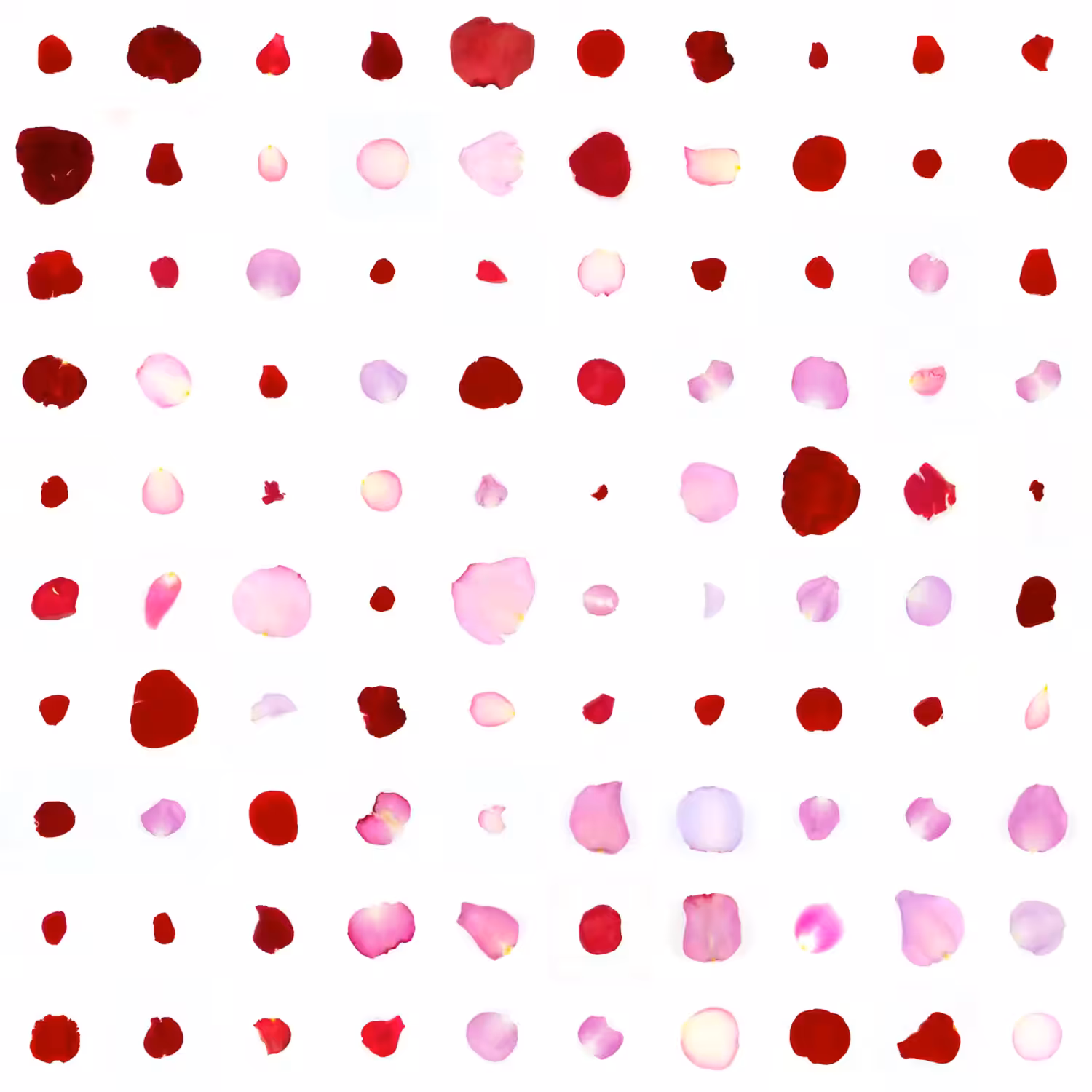 Infinite Petals 10x10#1558