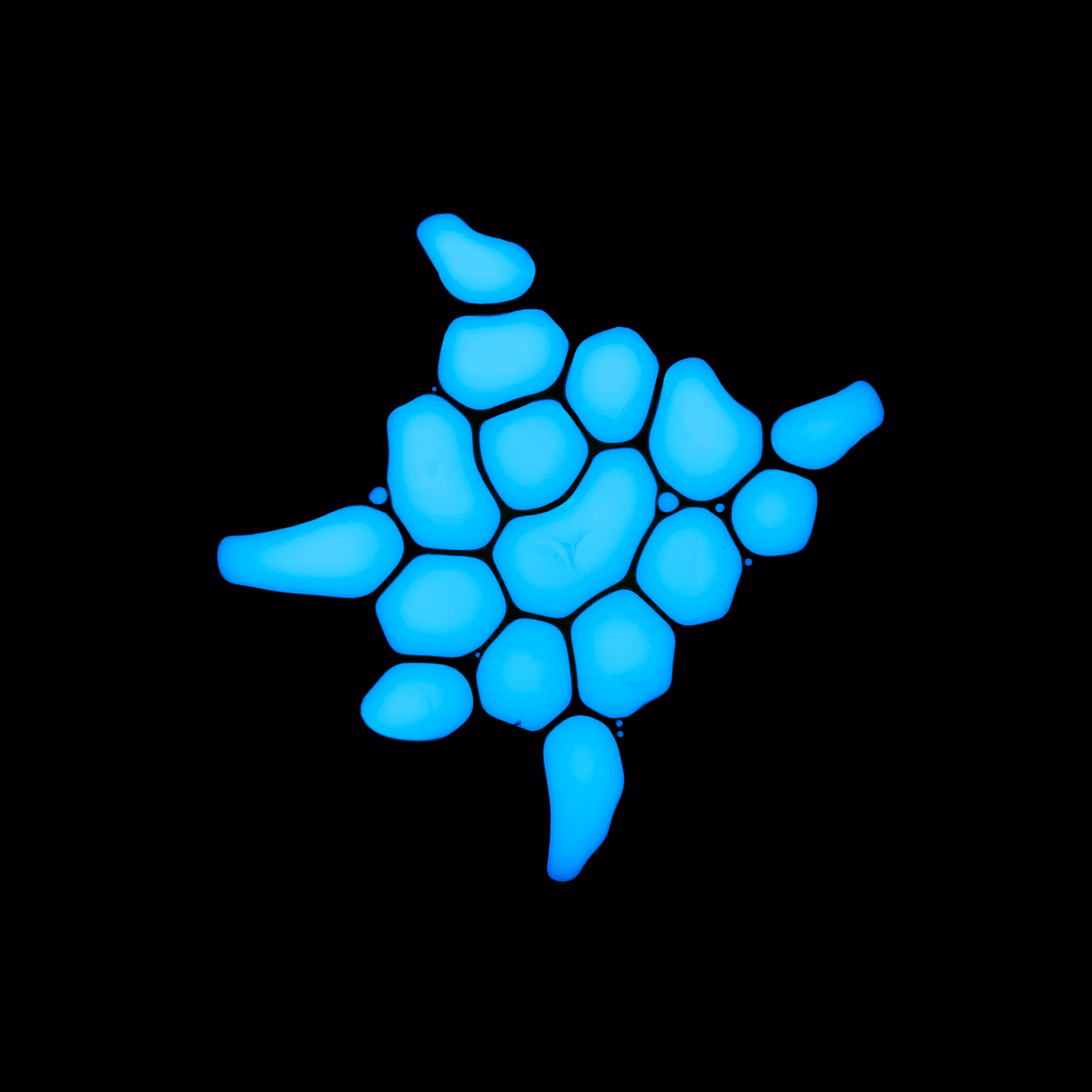 Haematopoiesis #194