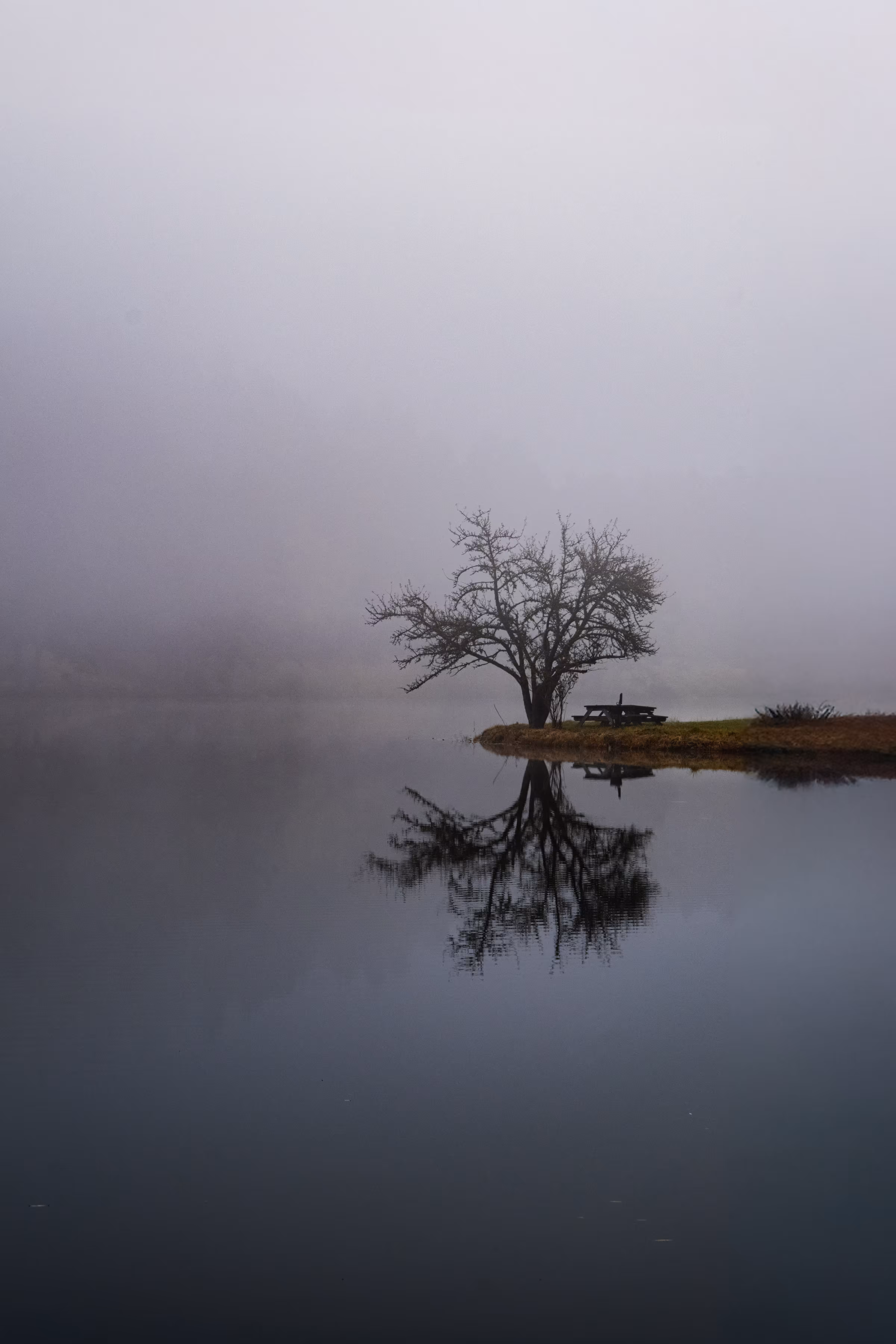 Foggy Reflection
