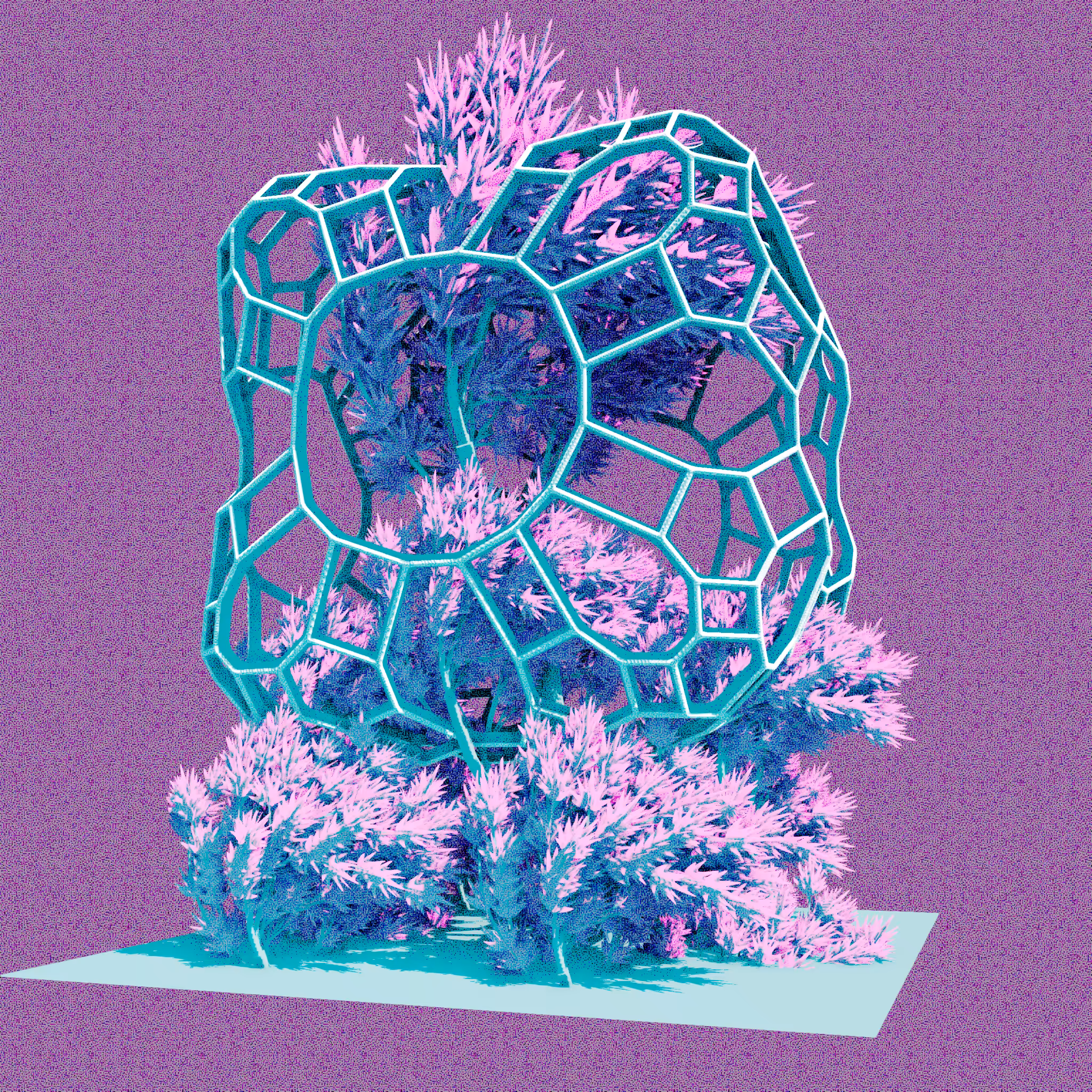 Urban Flora #64