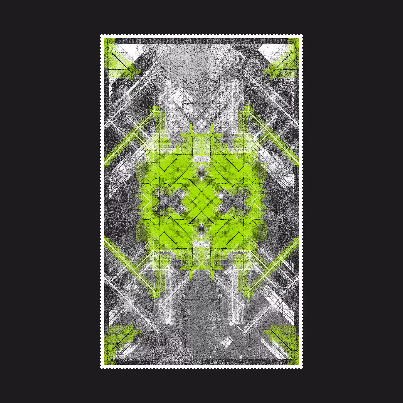 貝殻 | SHELL #65