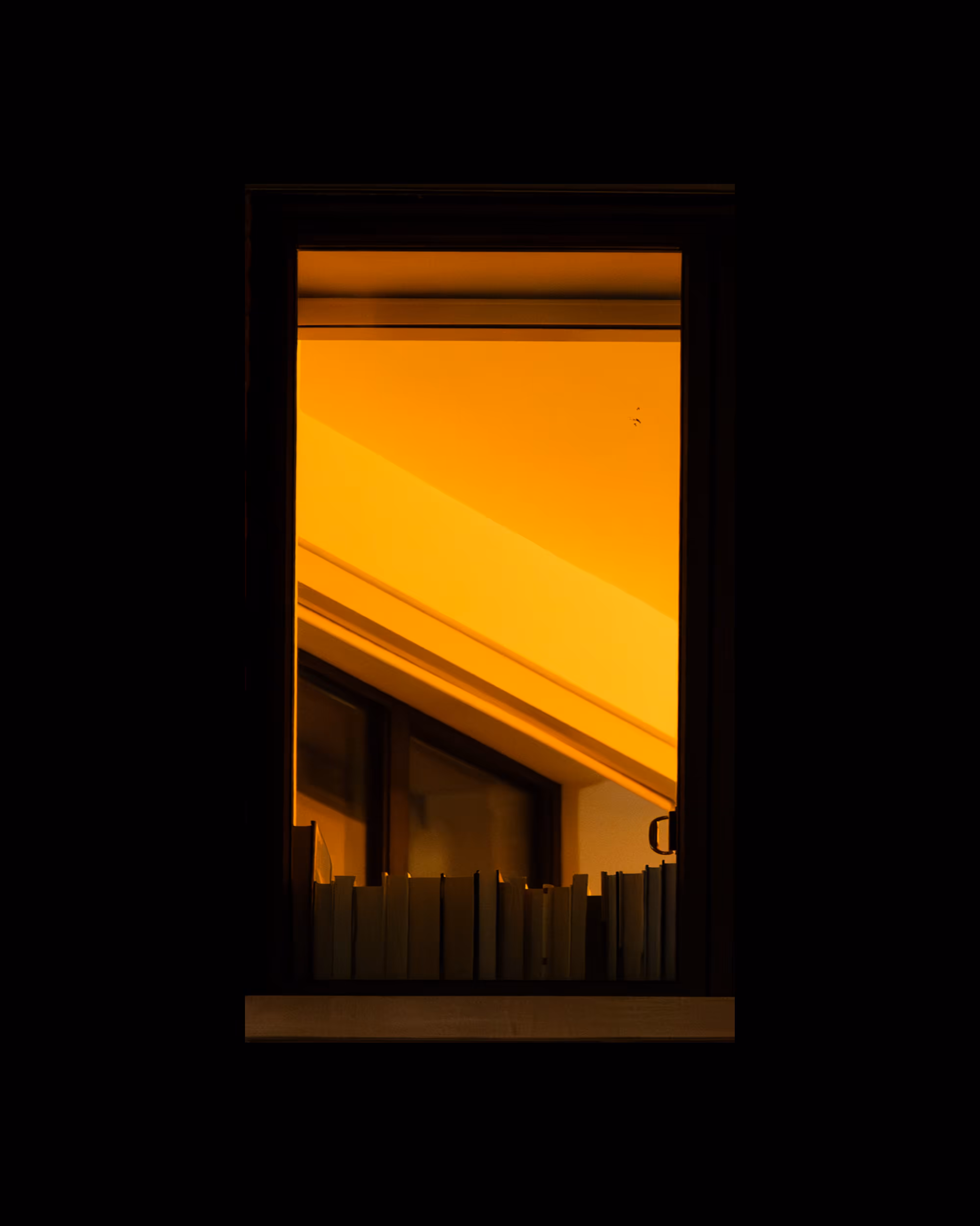 WINDOWS // NYC: WINDOW 390
