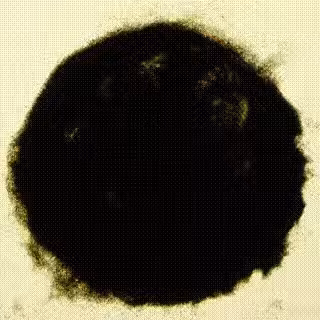 Inner Fire