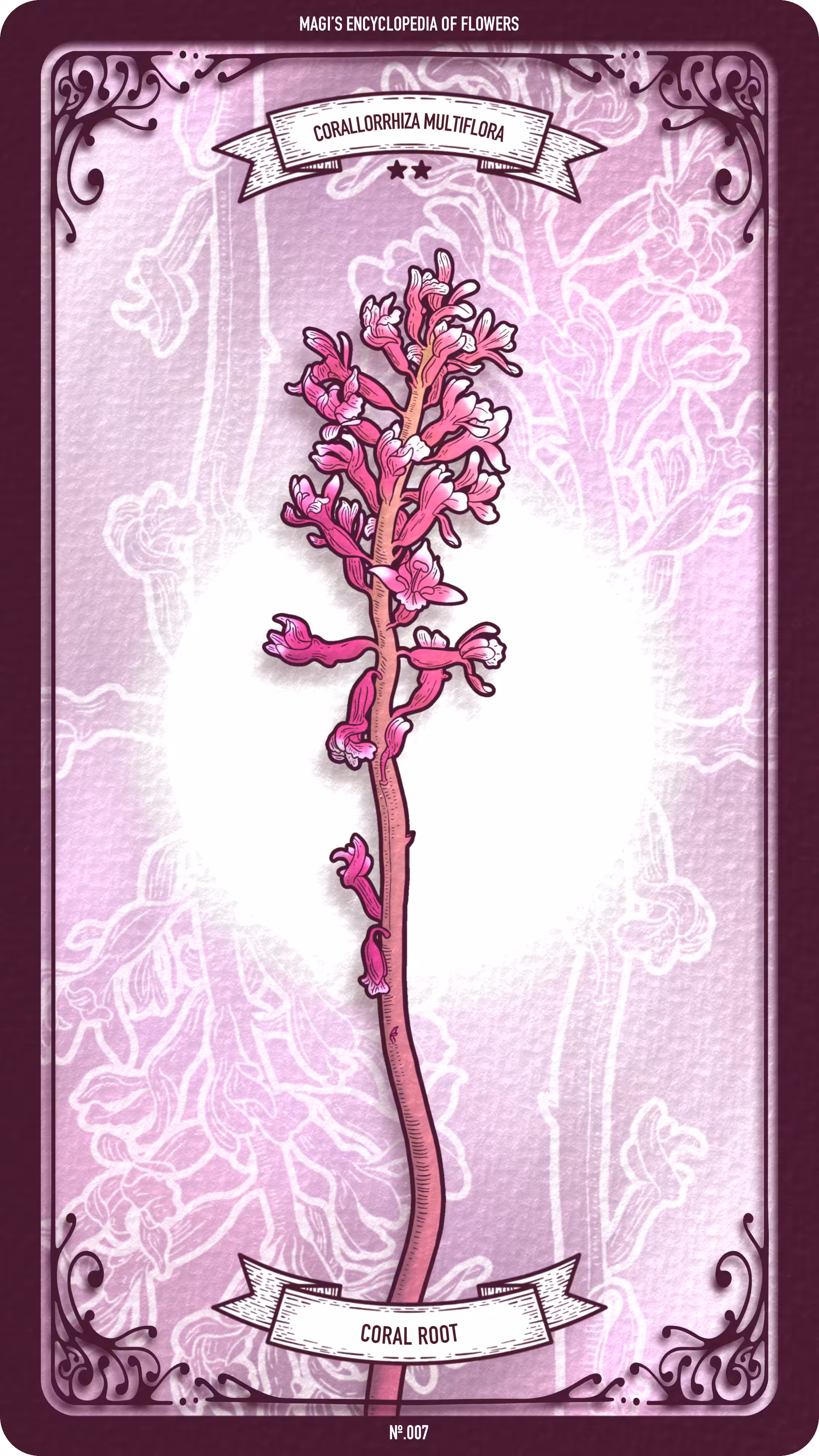 007 Coral Root