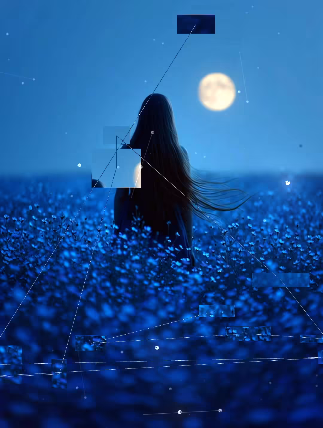 Under the Quiet Moon