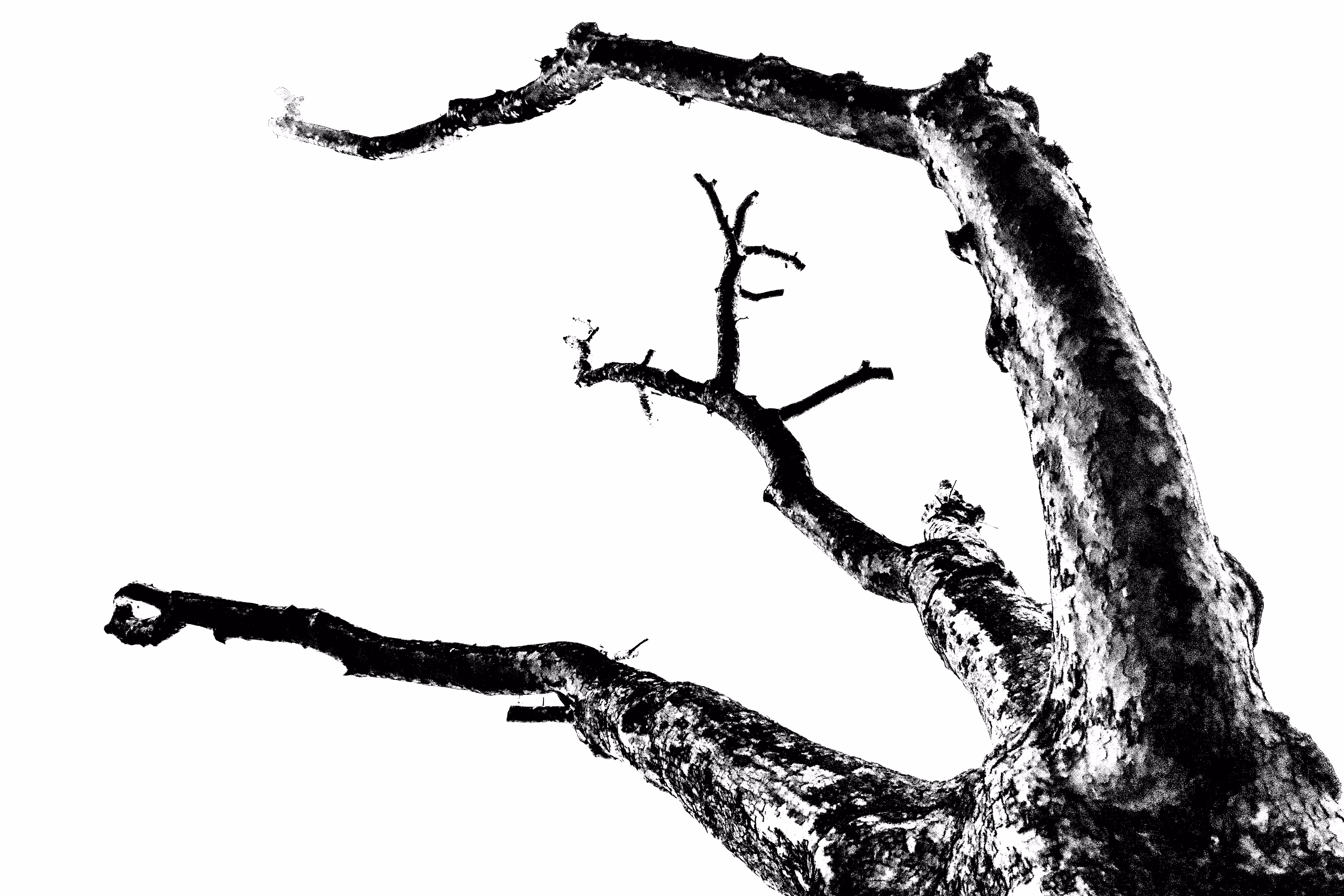 Grasping at Nothing