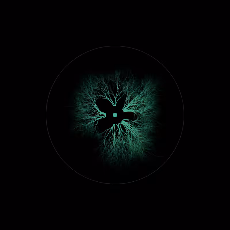 EYE #2