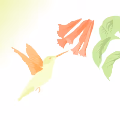 Humming bird