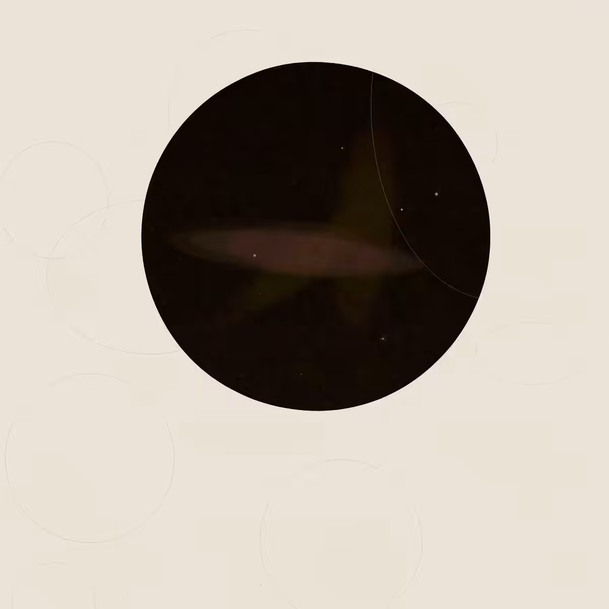 SYSTEMS #191