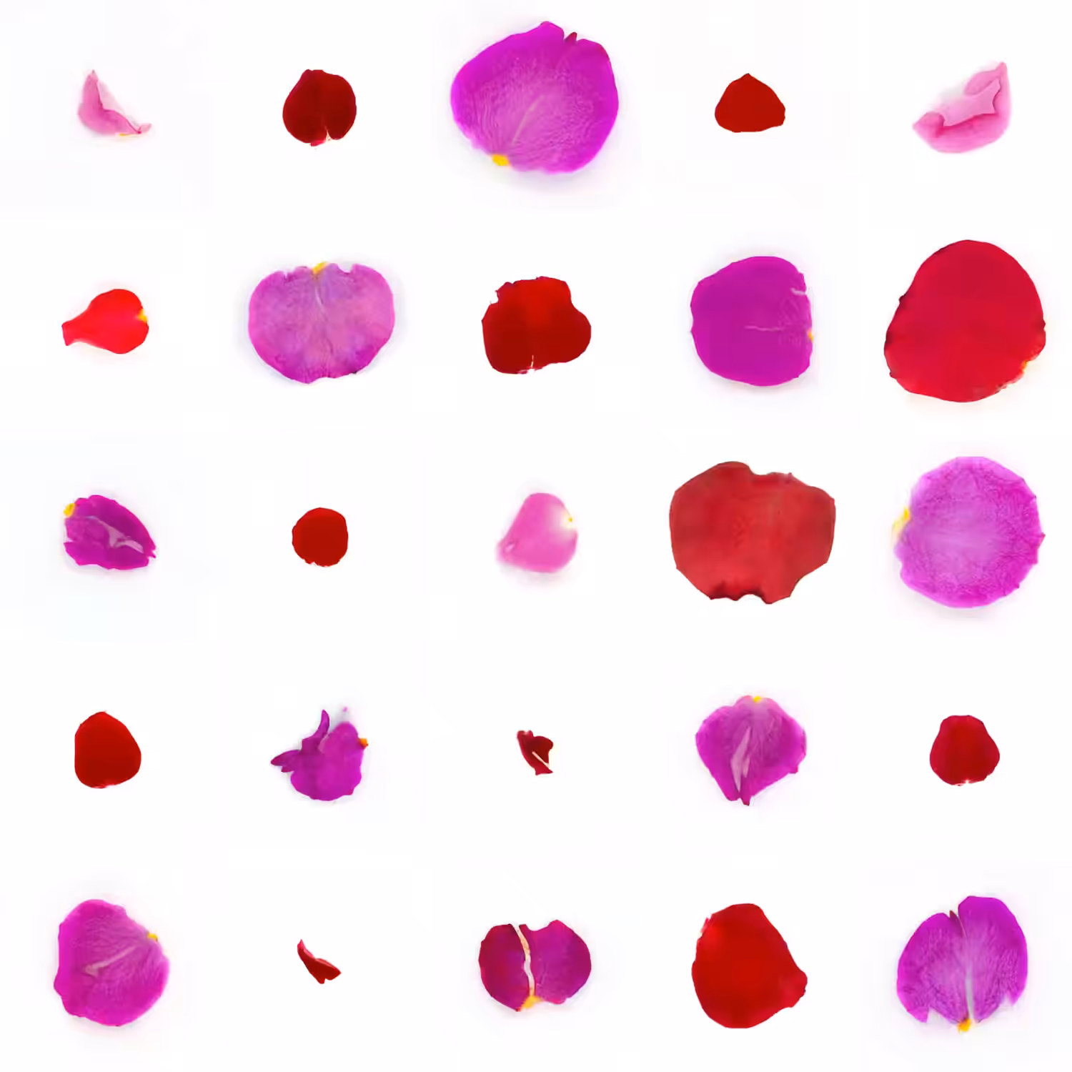 Infinite Petals 5x5#1353