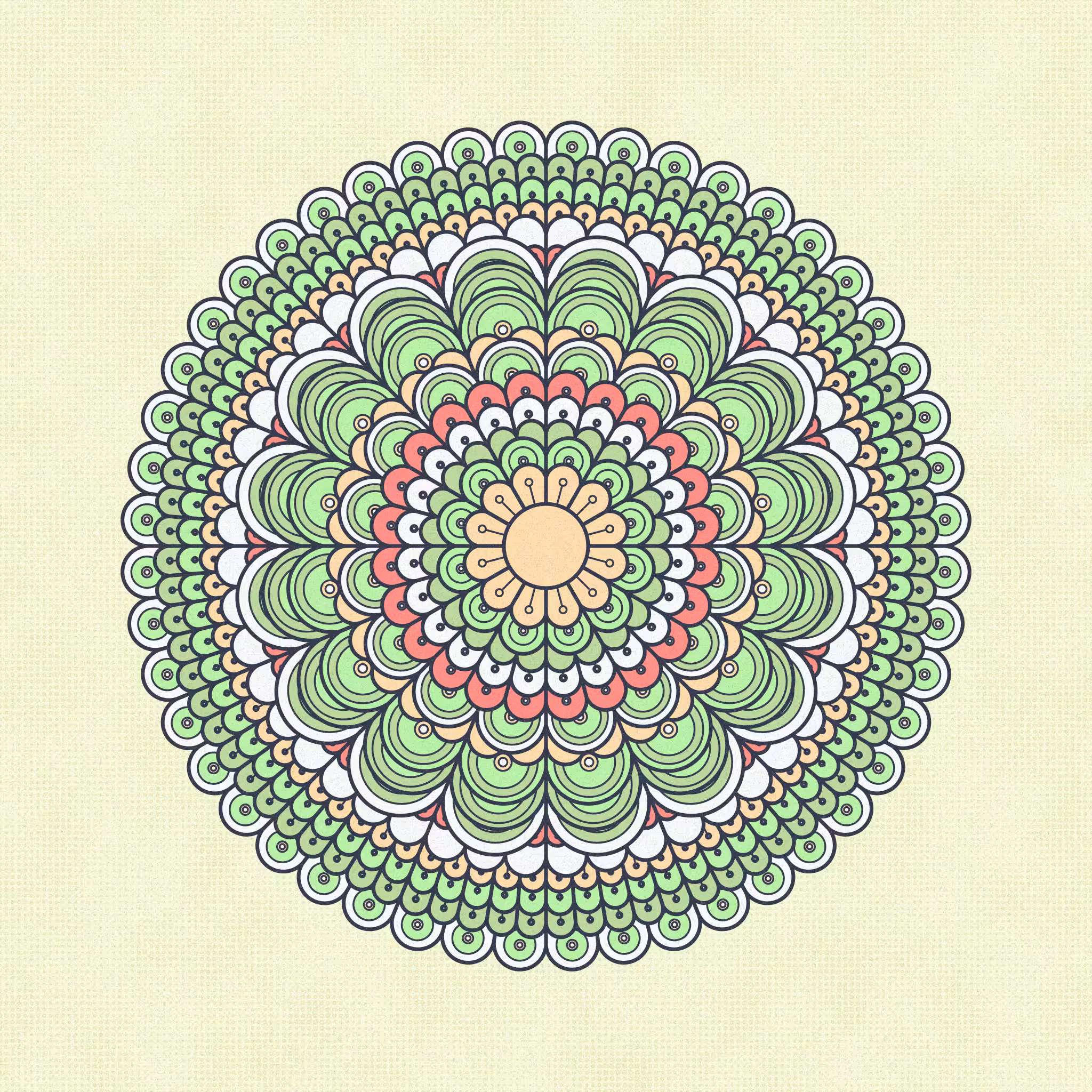 metamorph. #39
