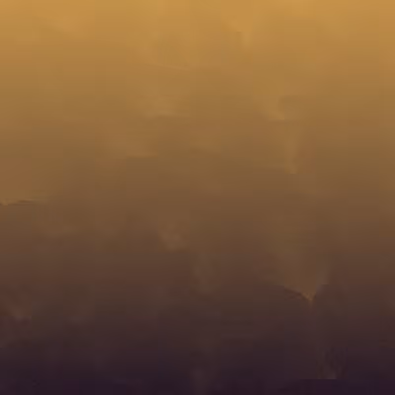 Covered in fog #11