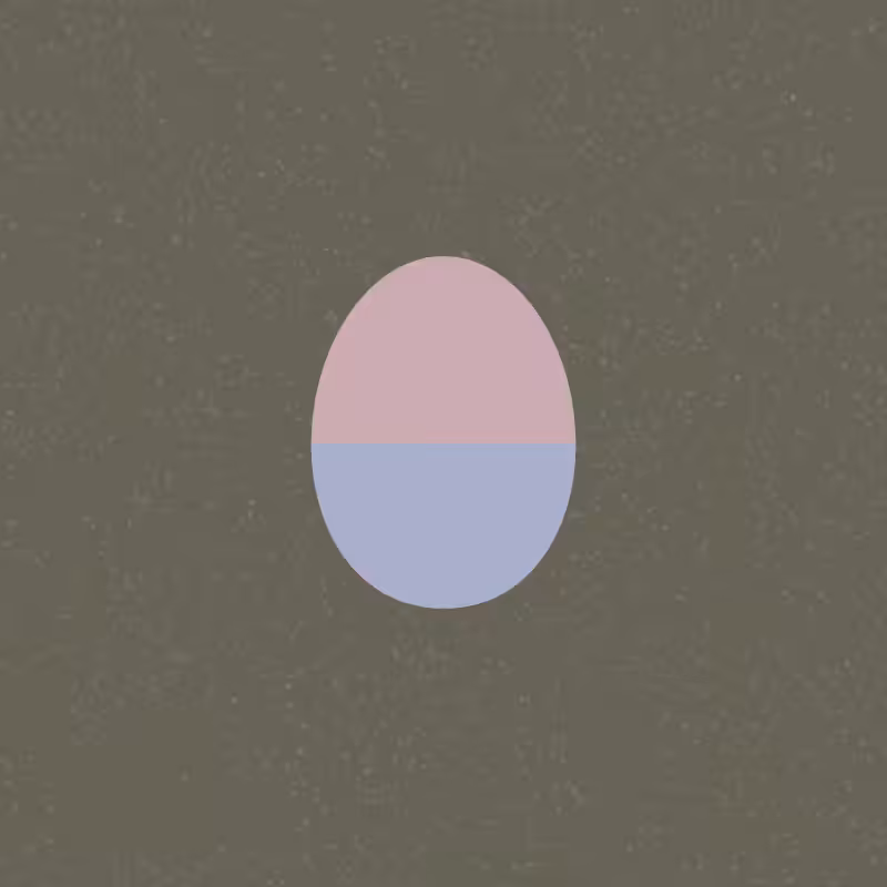 Egg #11