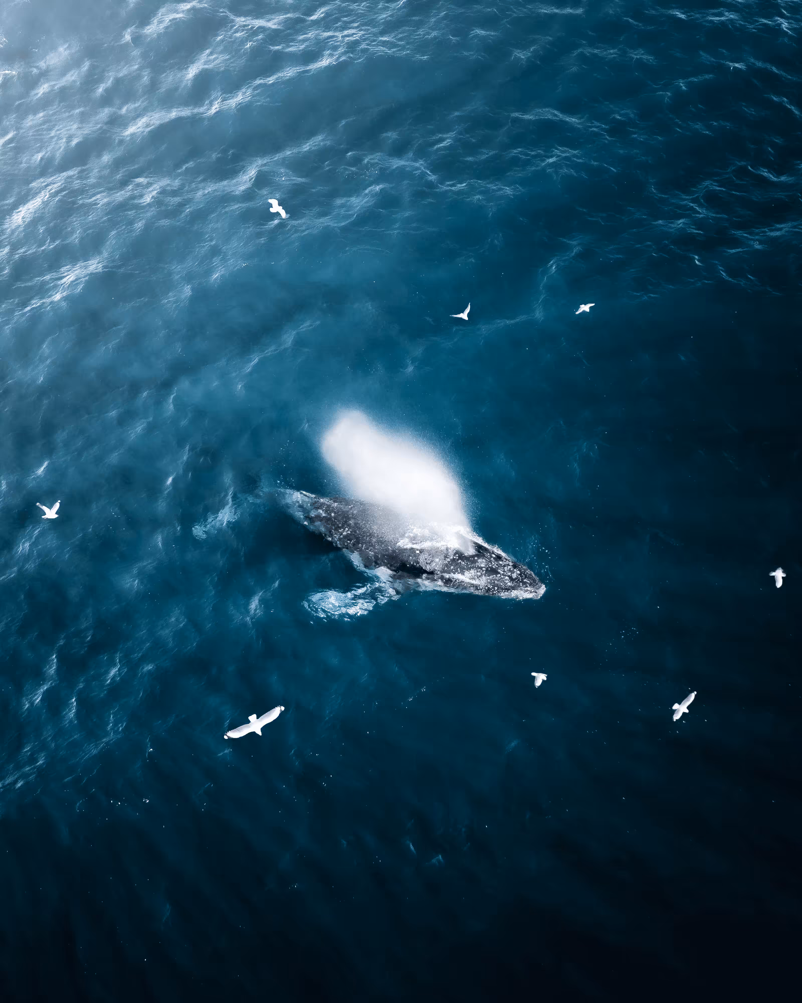 "Into The Blue" #4