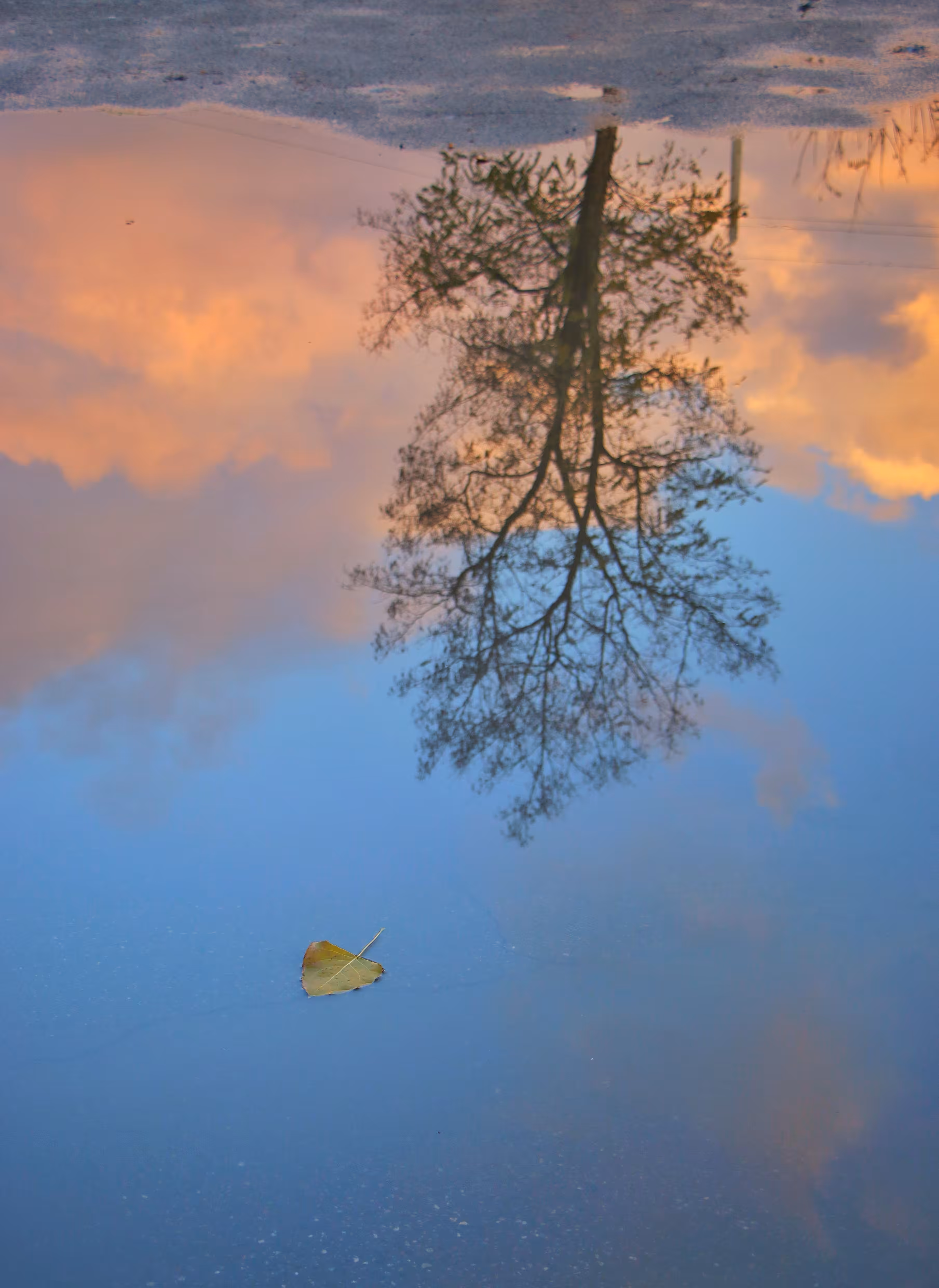 Fall