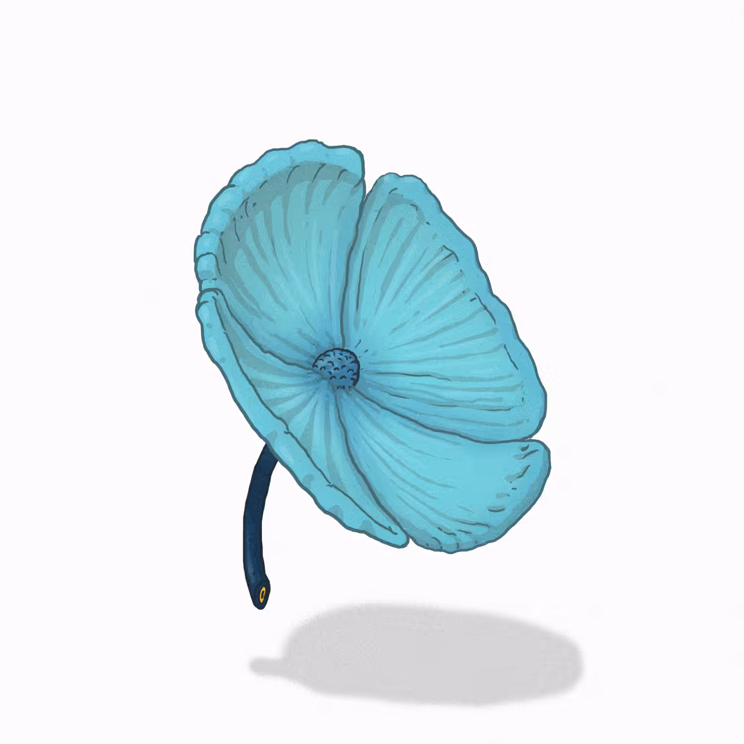Cambiapelo flower