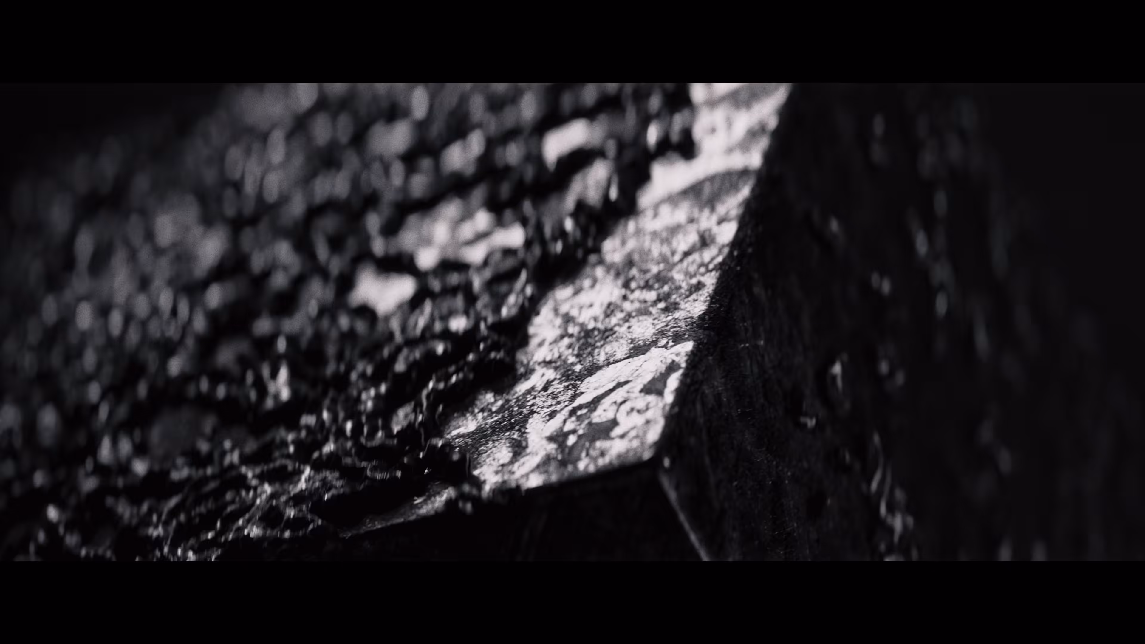 /ROOTS_rising