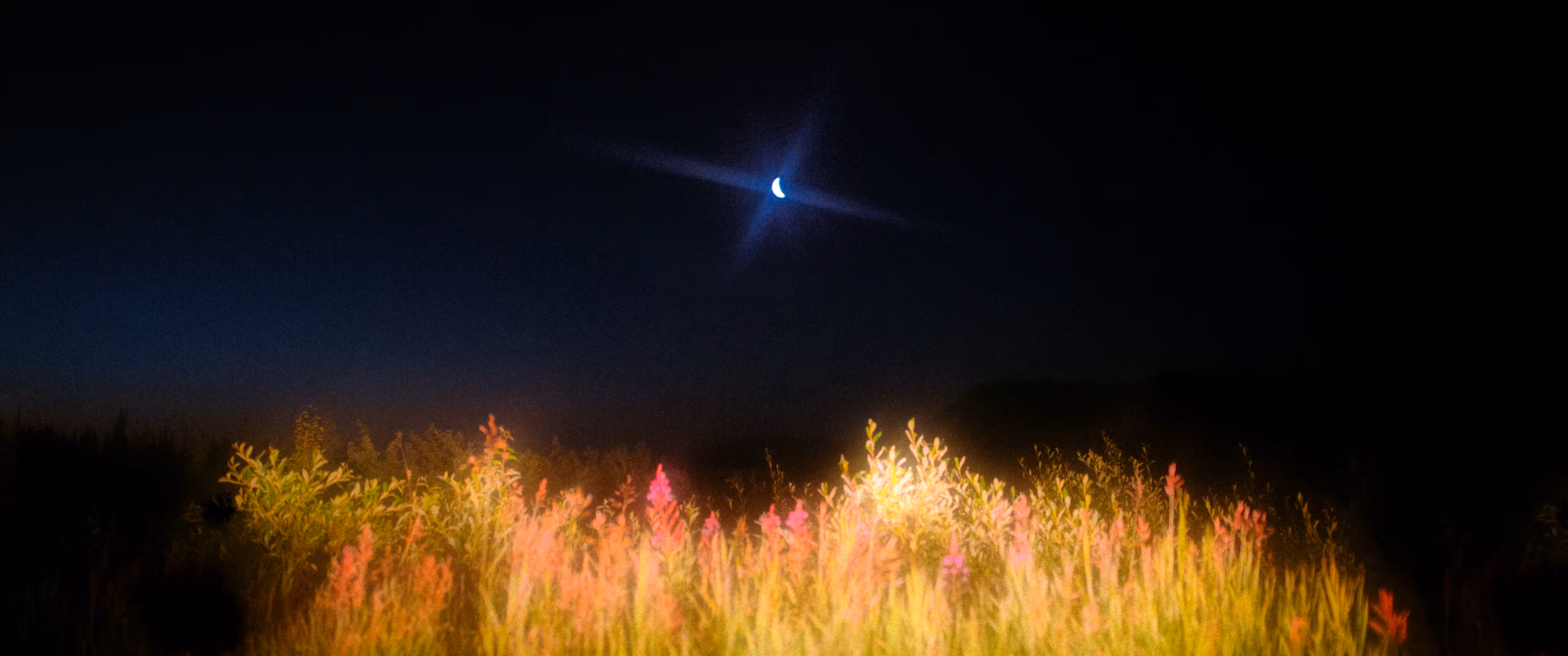 moonlit