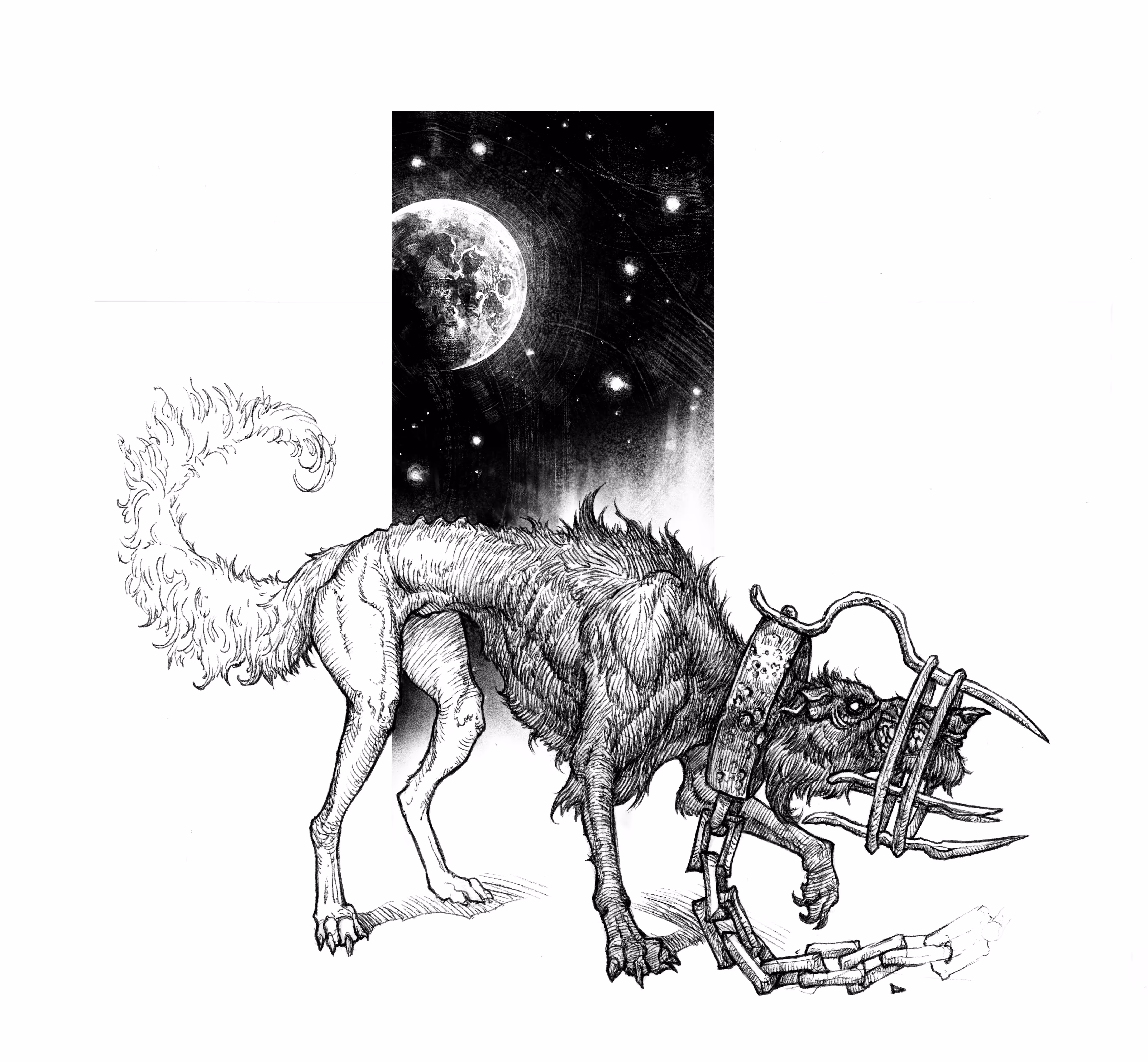 Black Hound
