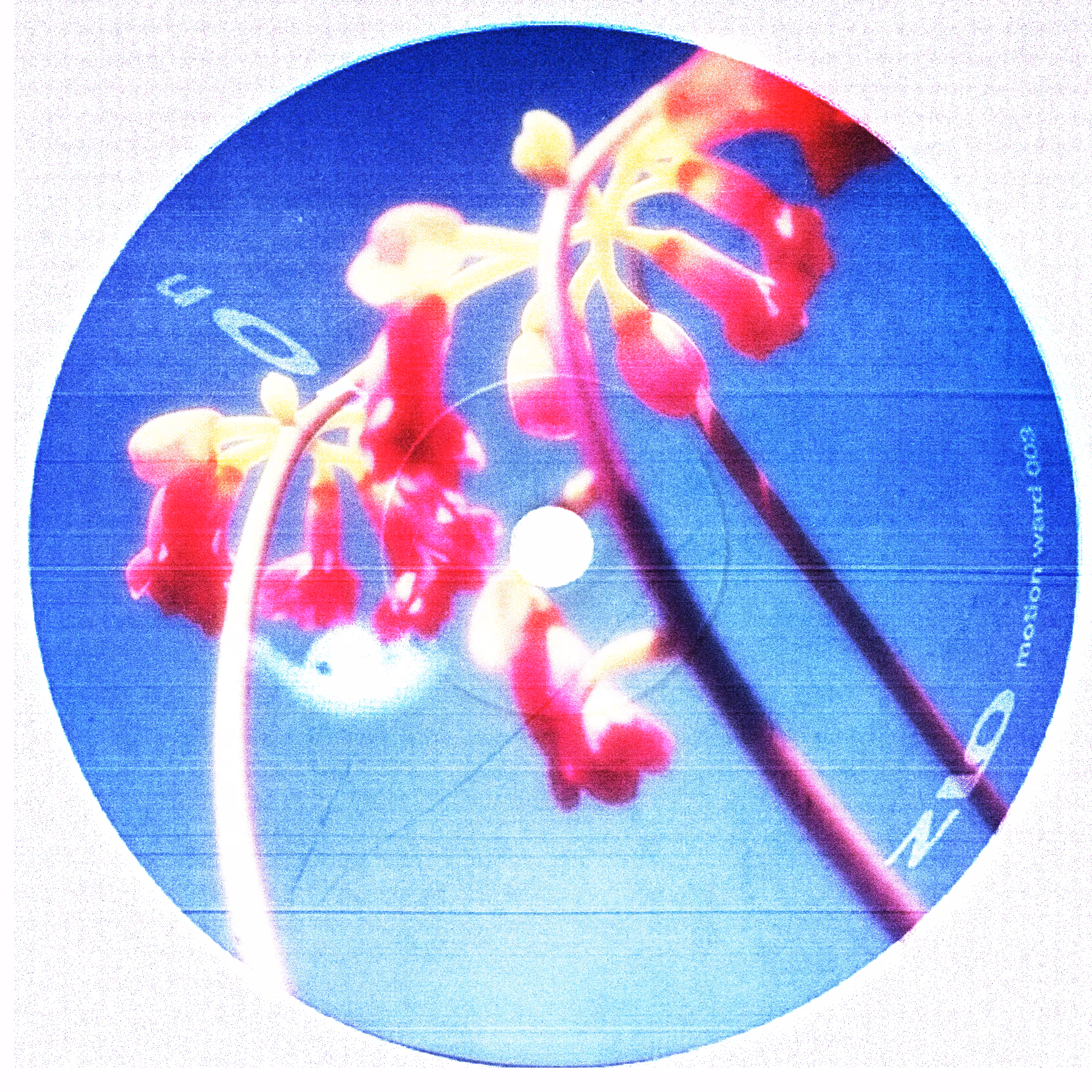 PETALS & PALETTES #1