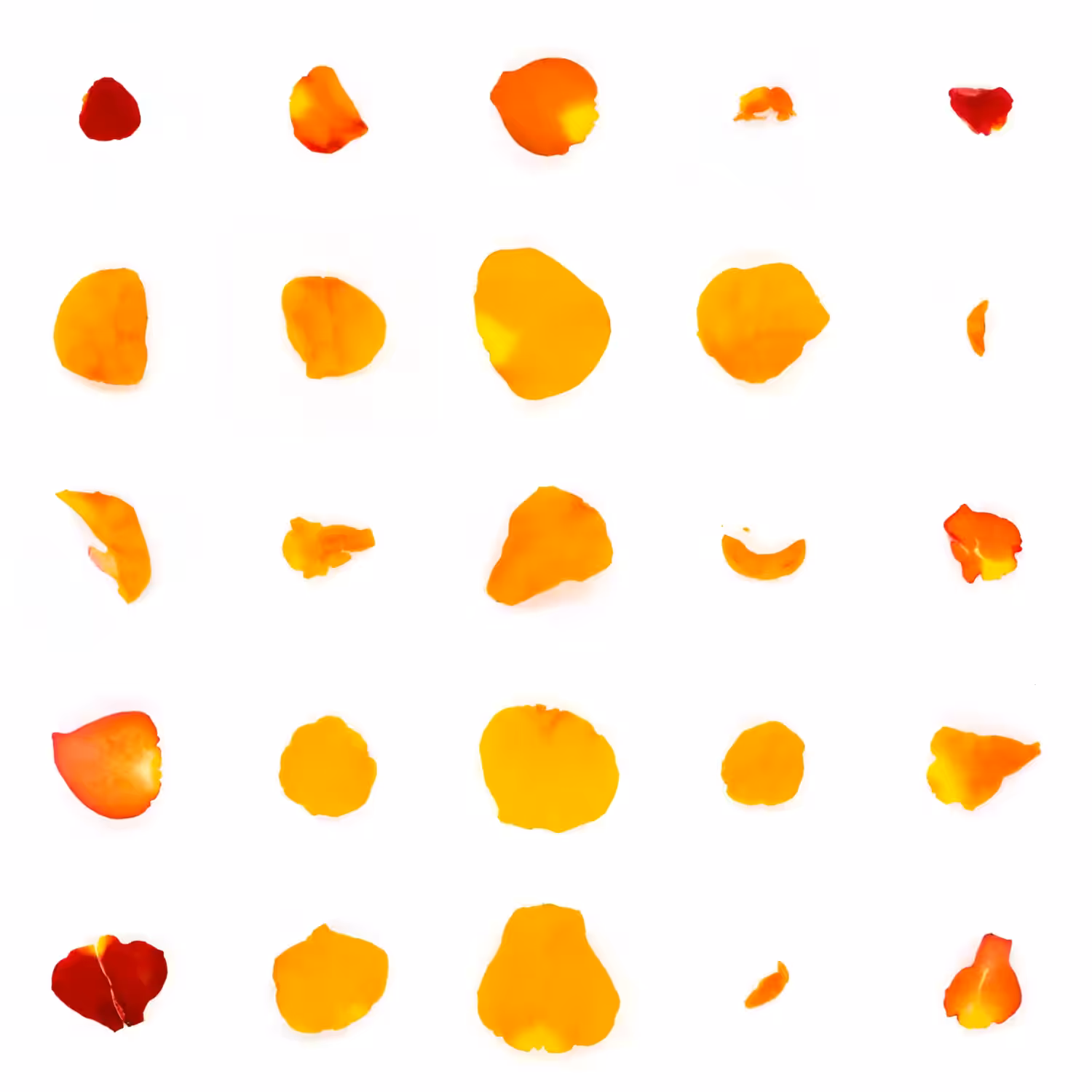 Infinite Petals 5x5#20769
