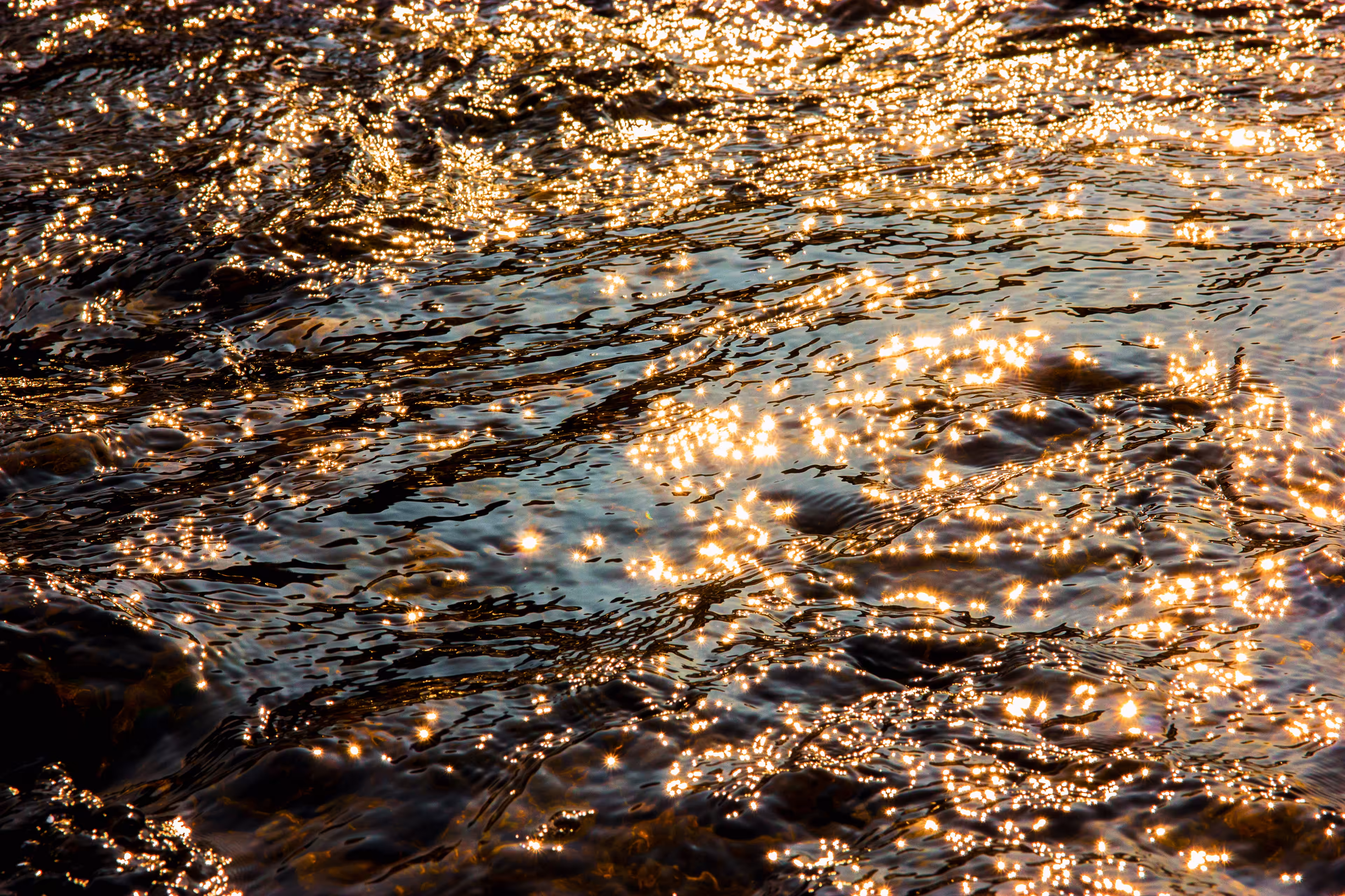 Starry Wave