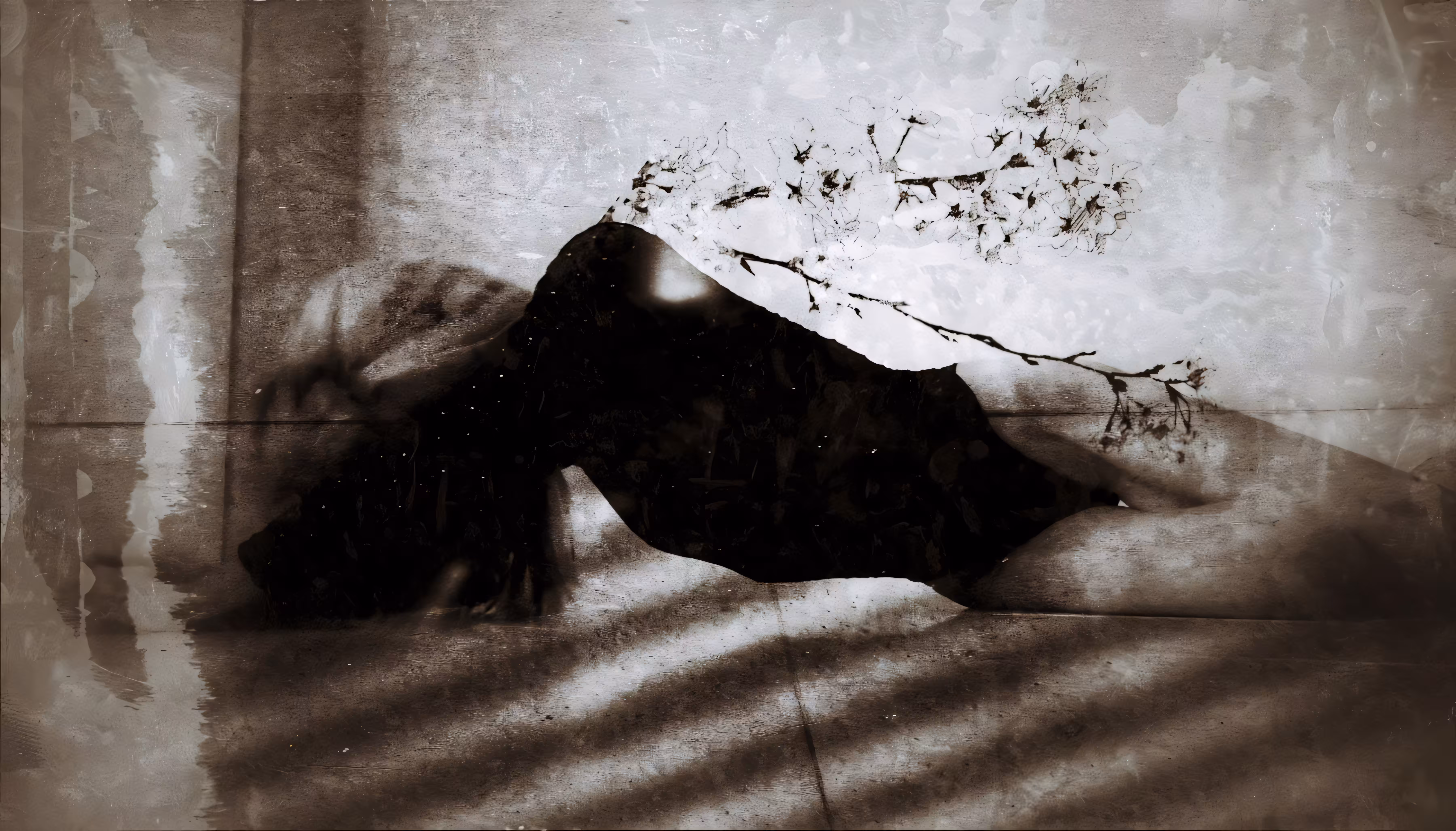 PhotoMania: Solitude's Secrets