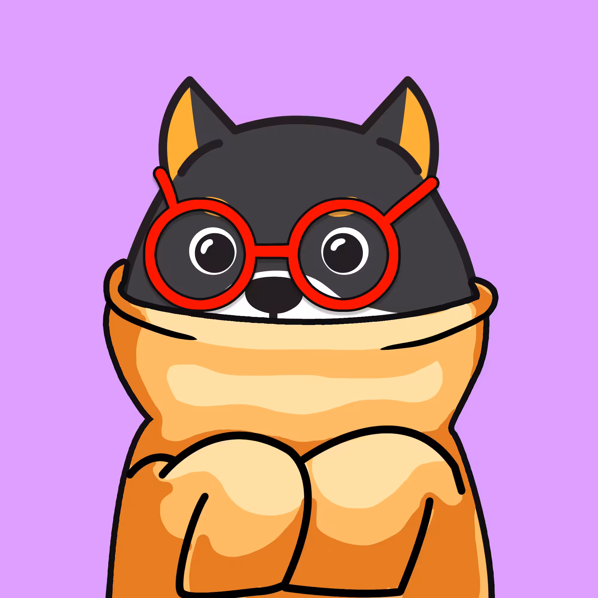 bobo shiba gen2 #081