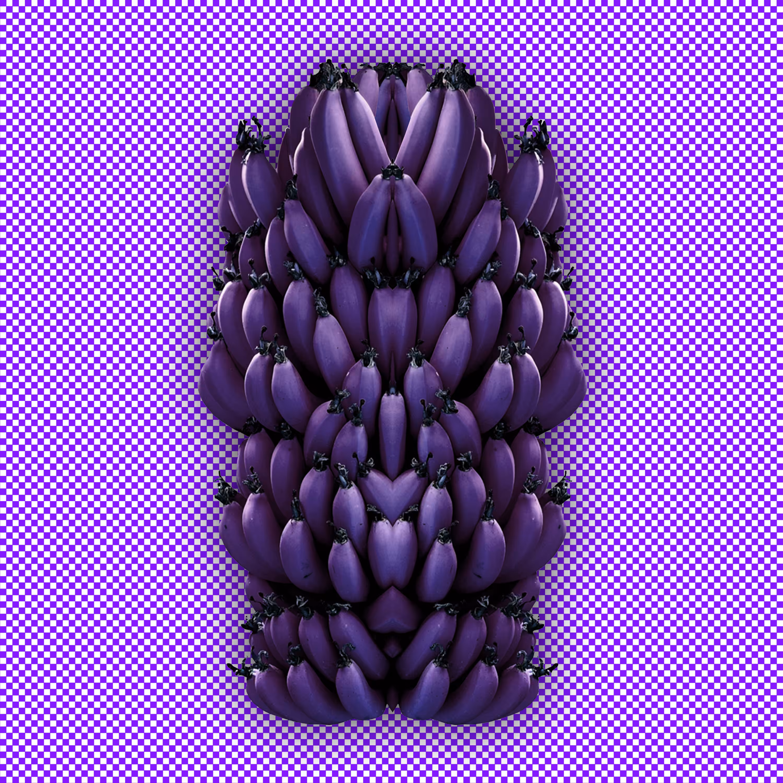 Bananas (purple)