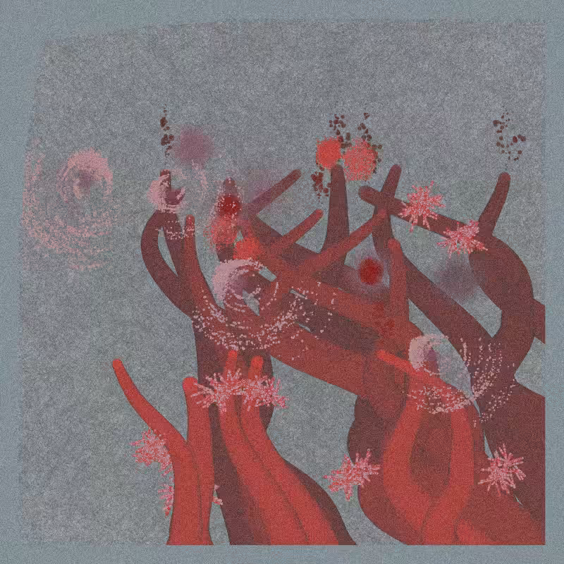 Sea Anemone #62