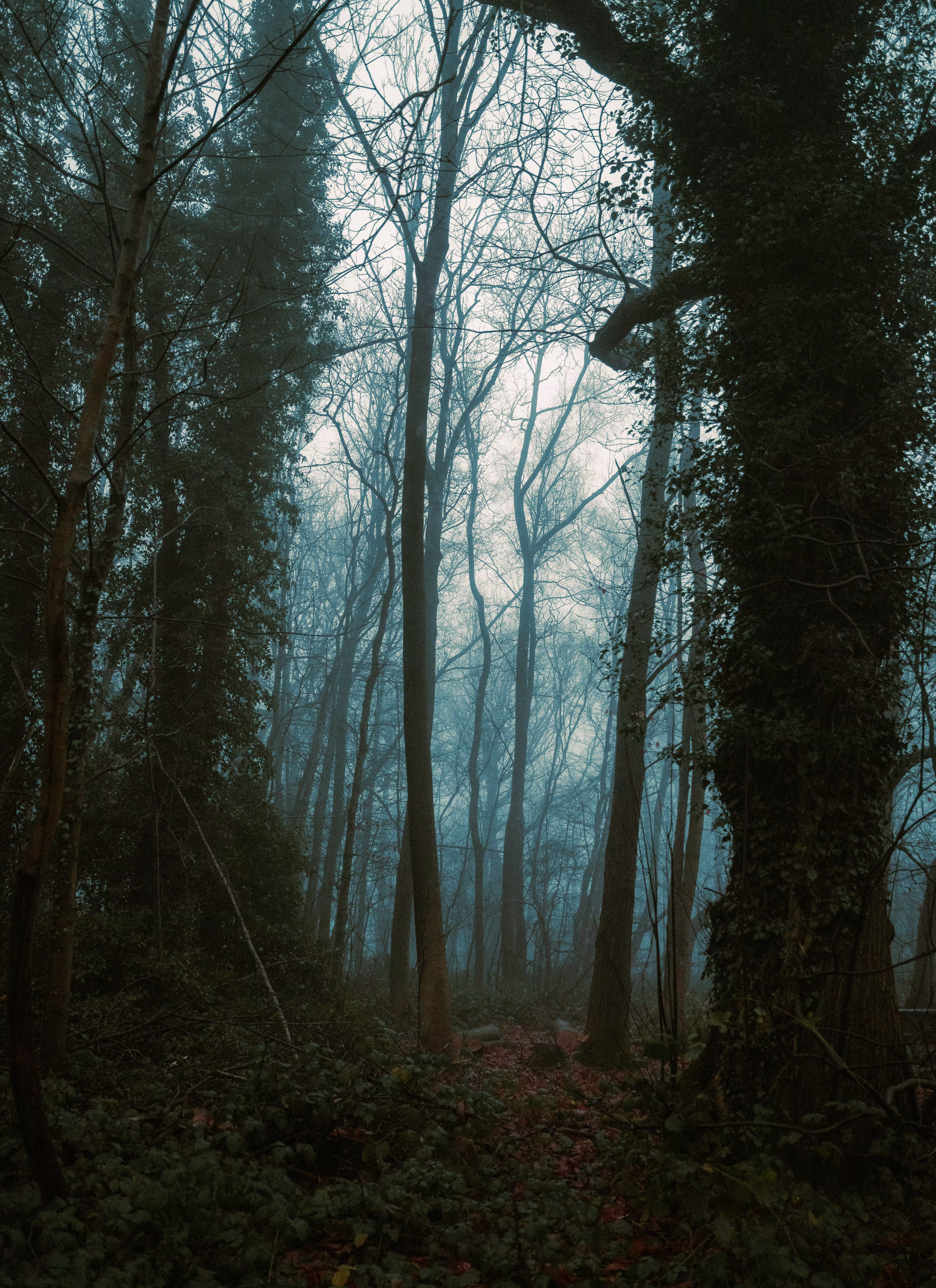 Lost