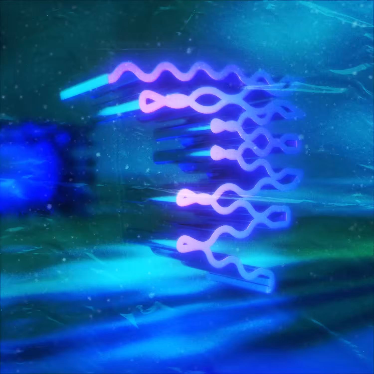 36DOT_2021//7