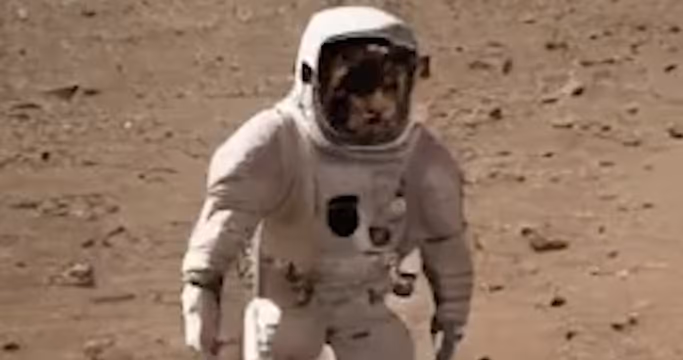 The Awkward Truth: Human mission to Mars