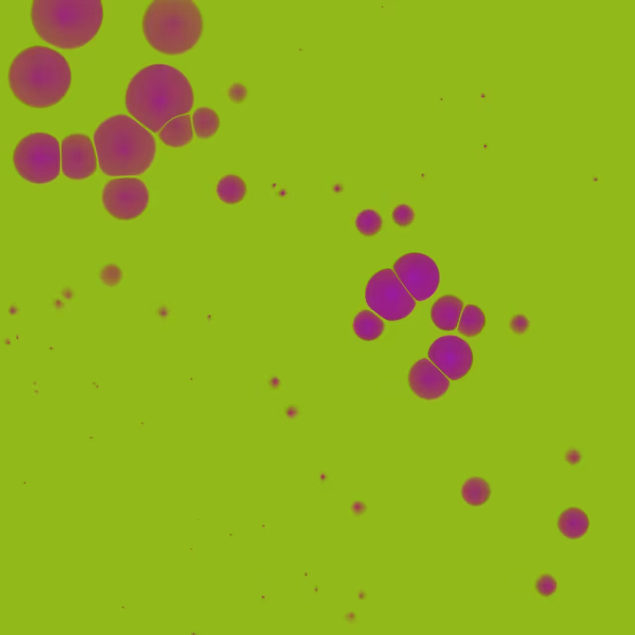 Lyra-8 vs cells
