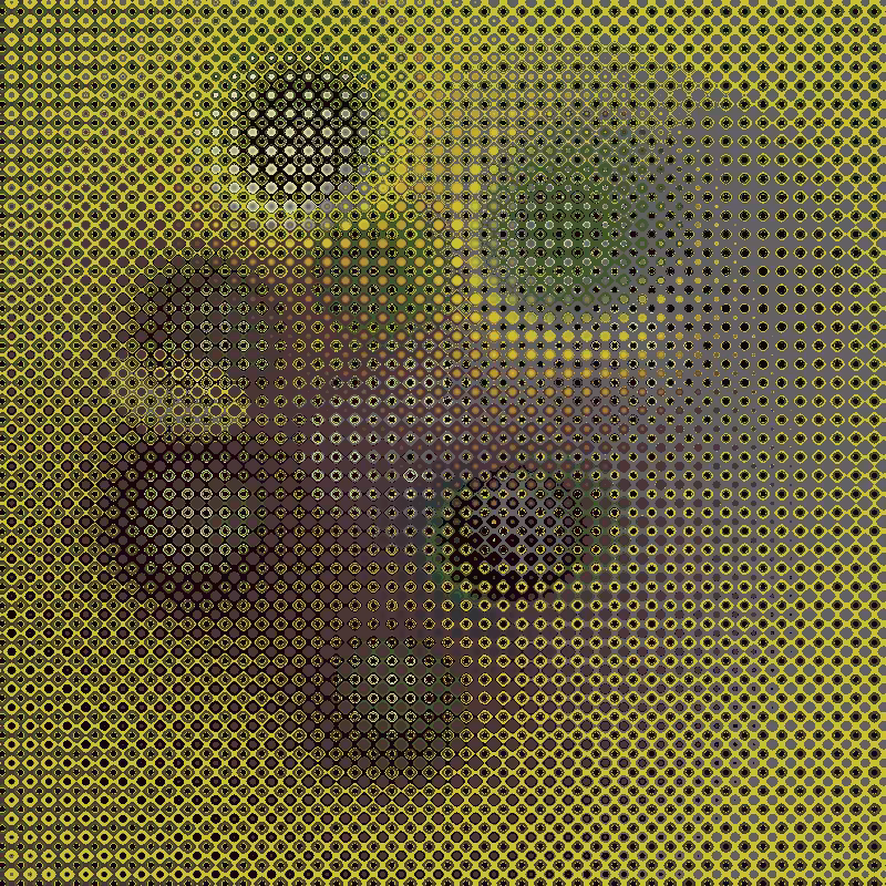 Focus #52