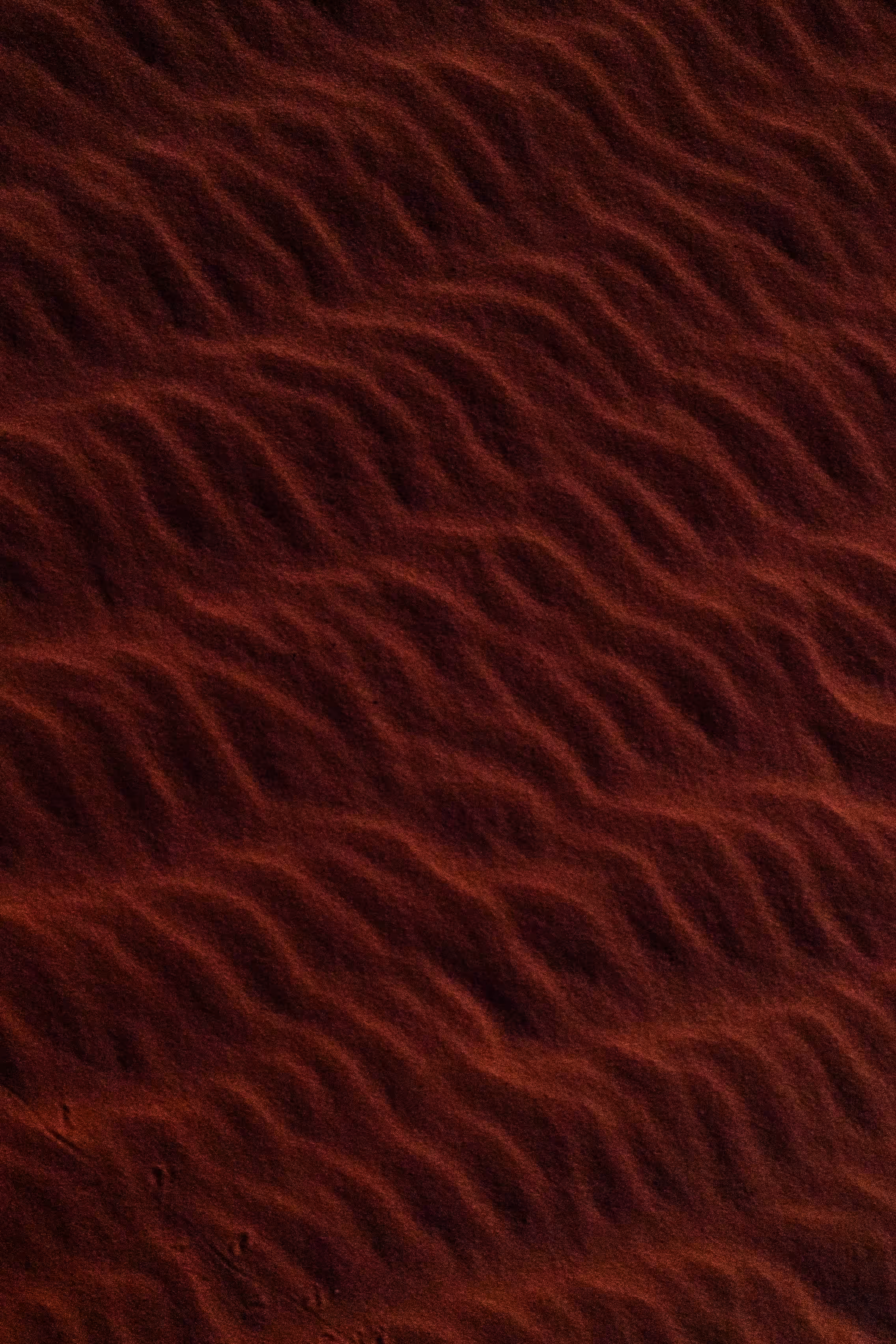Grain of Light #005