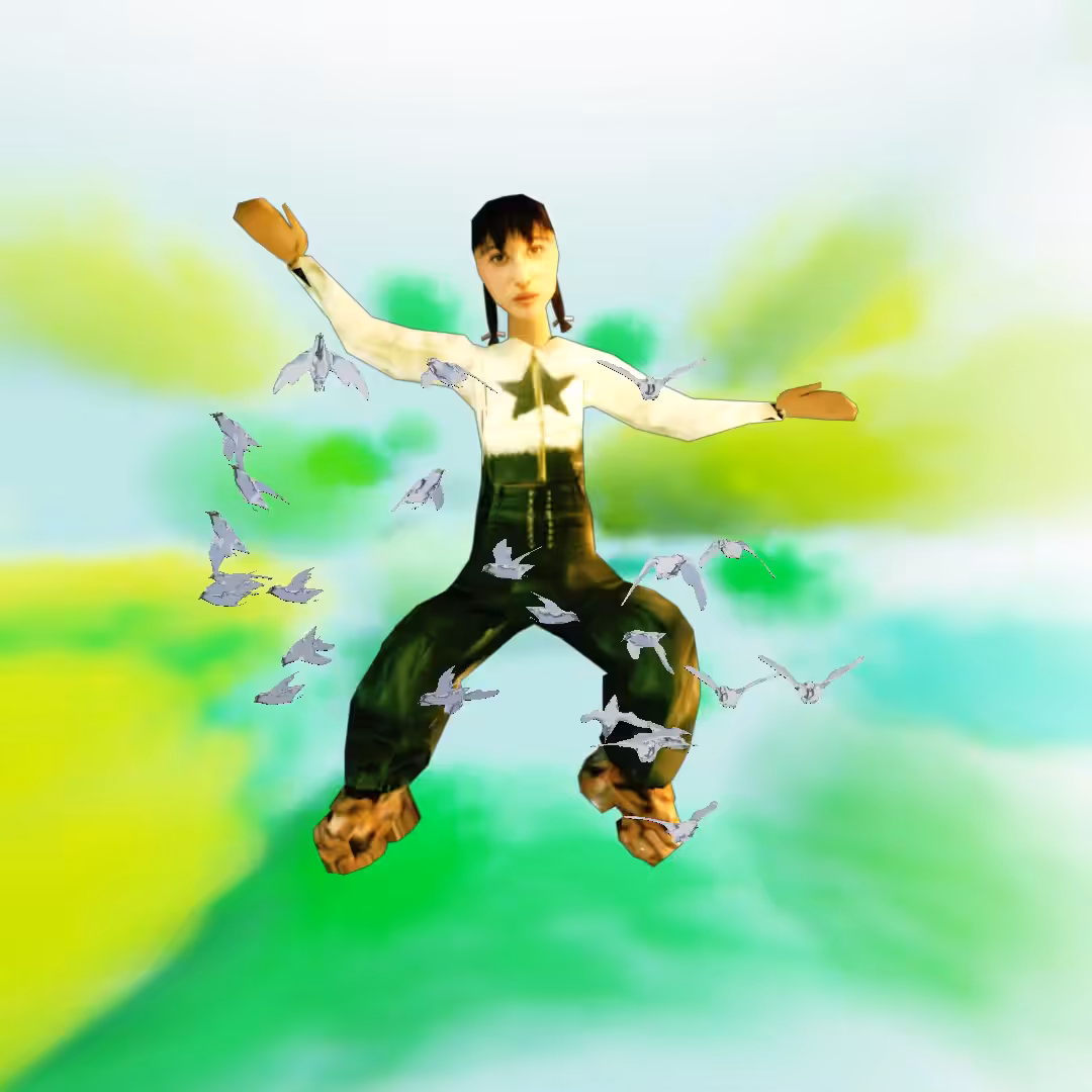 Cloud #31: The Waste Sky Star Character With the Seagulls.