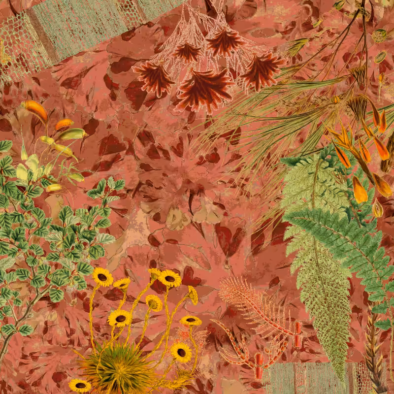 future flora from Antarctica's past #1