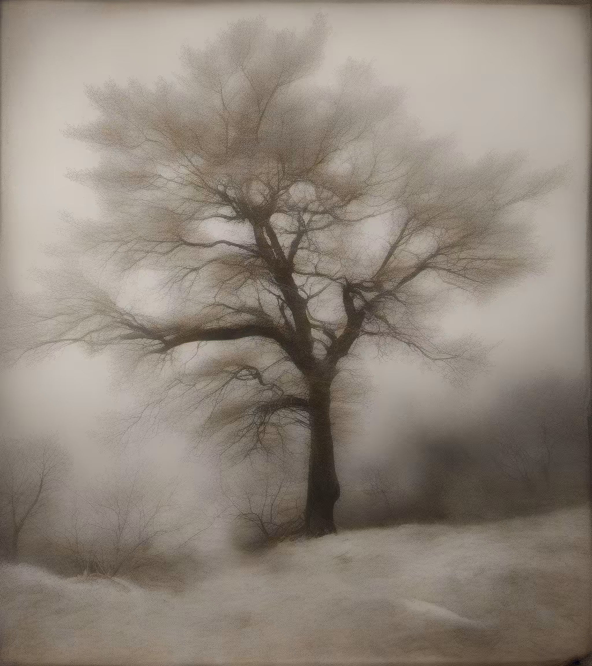 Tree Studies #12
