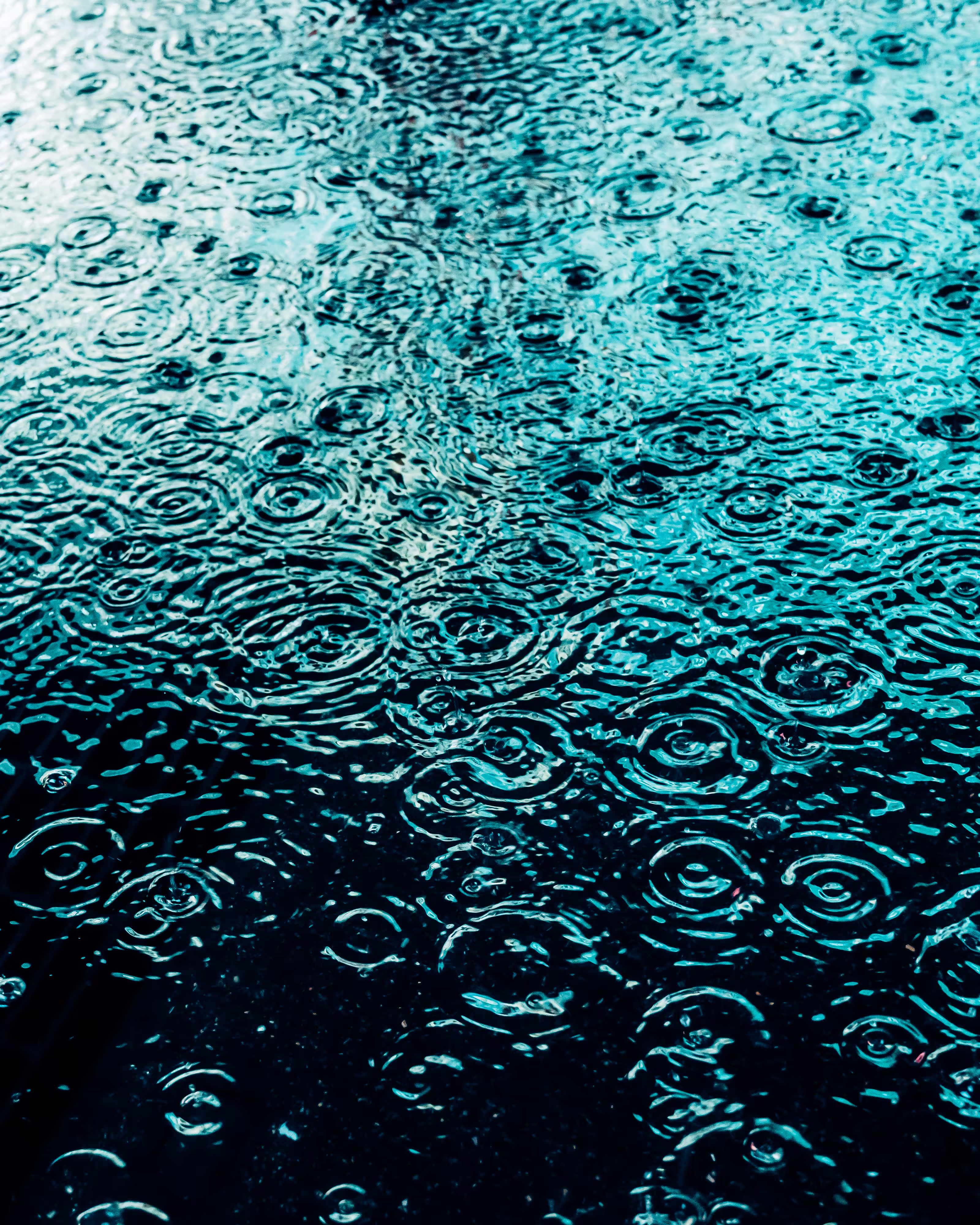 DRIP DROP: DRIP #70