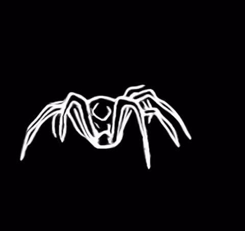 #2 Spider